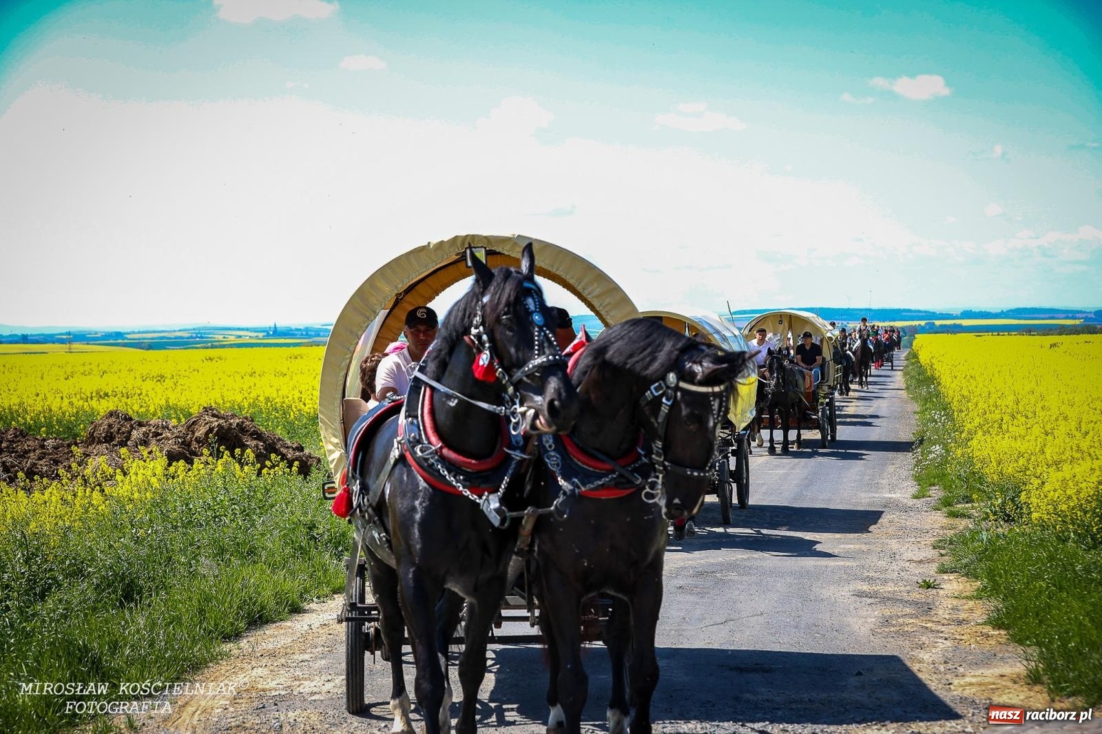Zdjęcie w galerii na portalu naszraciborz.pl: Konna majówka wróciła do Kornic po sześciu latach. Były emocje i rywalizacja [FOTO i WIDEO] wiadomości z regionu