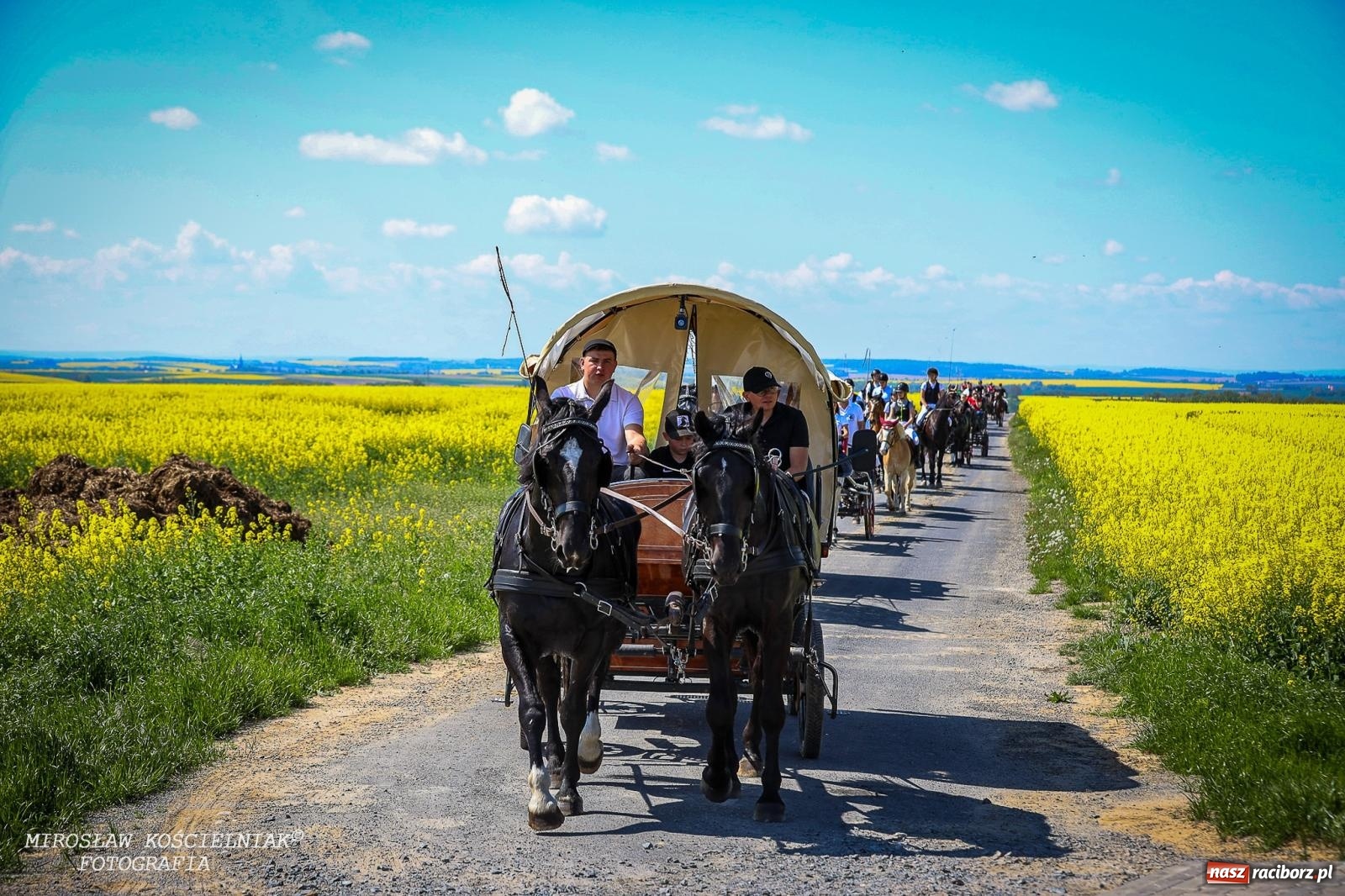 Zdjęcie w galerii na portalu naszraciborz.pl: Konna majówka wróciła do Kornic po sześciu latach. Były emocje i rywalizacja [FOTO i WIDEO] wiadomości z regionu