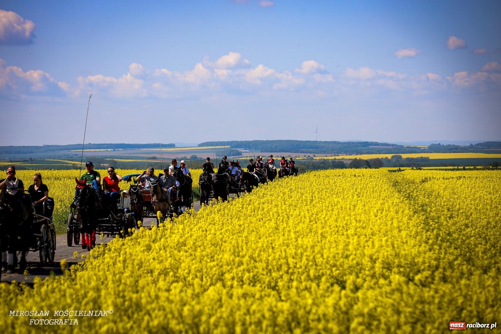 Zdjęcie w galerii na portalu naszraciborz.pl: Konna majówka wróciła do Kornic po sześciu latach. Były emocje i rywalizacja [FOTO i WIDEO] wiadomości z regionu