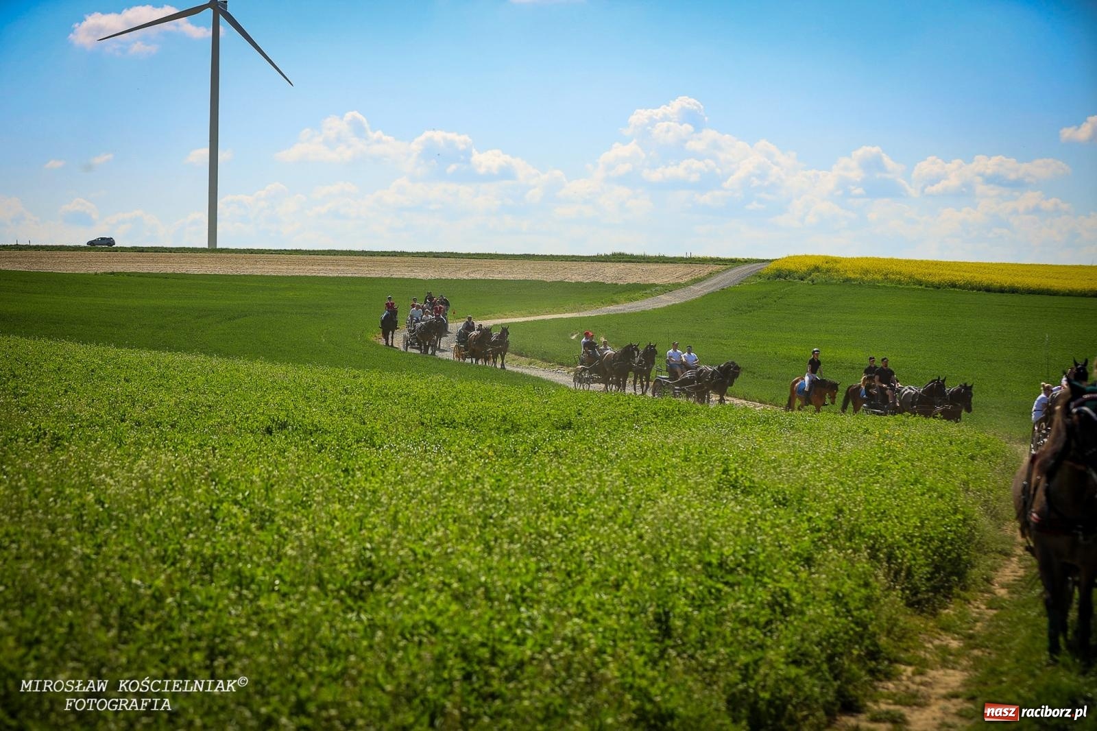 Zdjęcie w galerii na portalu naszraciborz.pl: Konna majówka wróciła do Kornic po sześciu latach. Były emocje i rywalizacja [FOTO i WIDEO] wiadomości z regionu