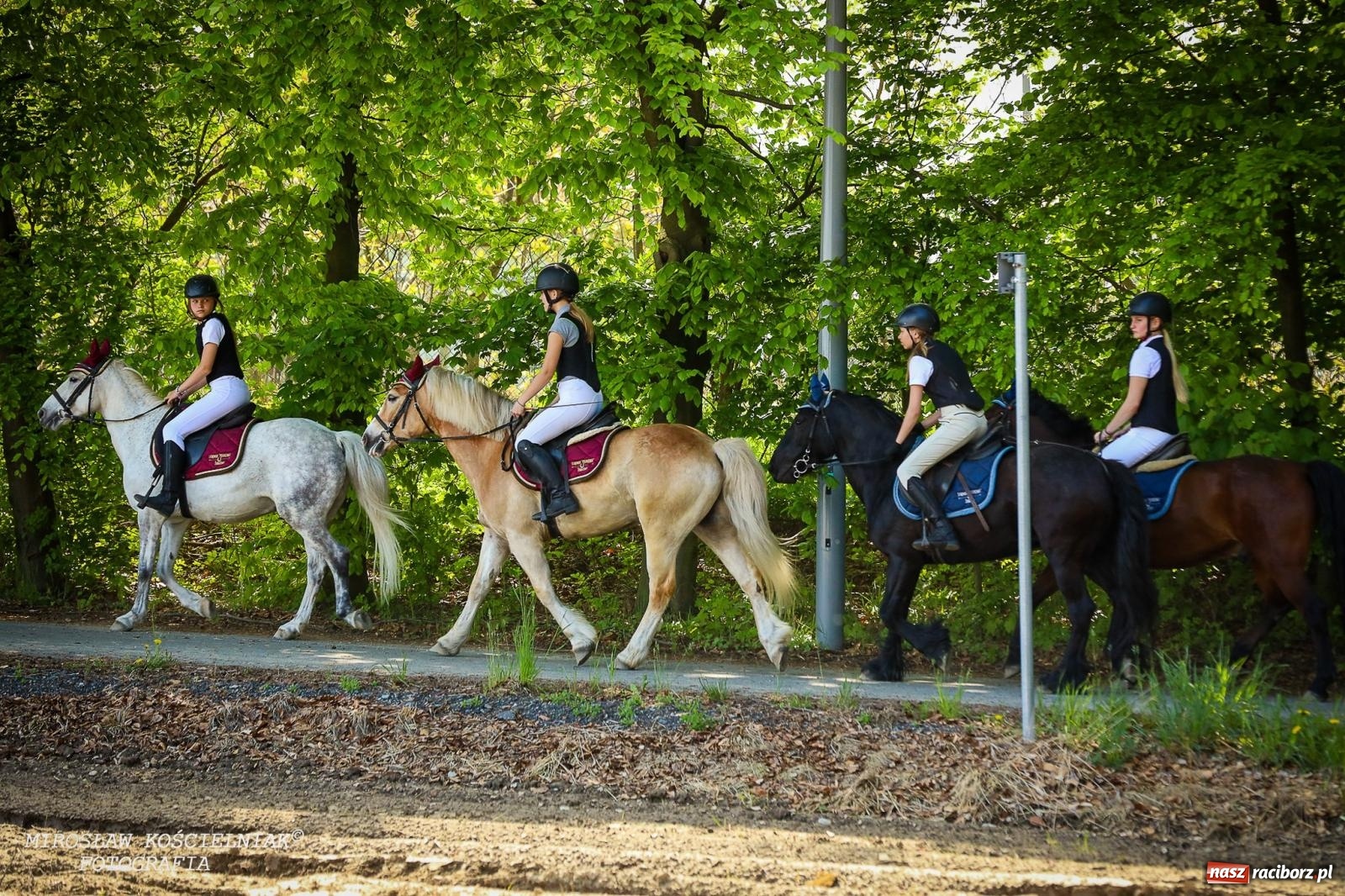 Zdjęcie w galerii na portalu naszraciborz.pl: Konna majówka wróciła do Kornic po sześciu latach. Były emocje i rywalizacja [FOTO i WIDEO] wiadomości z regionu