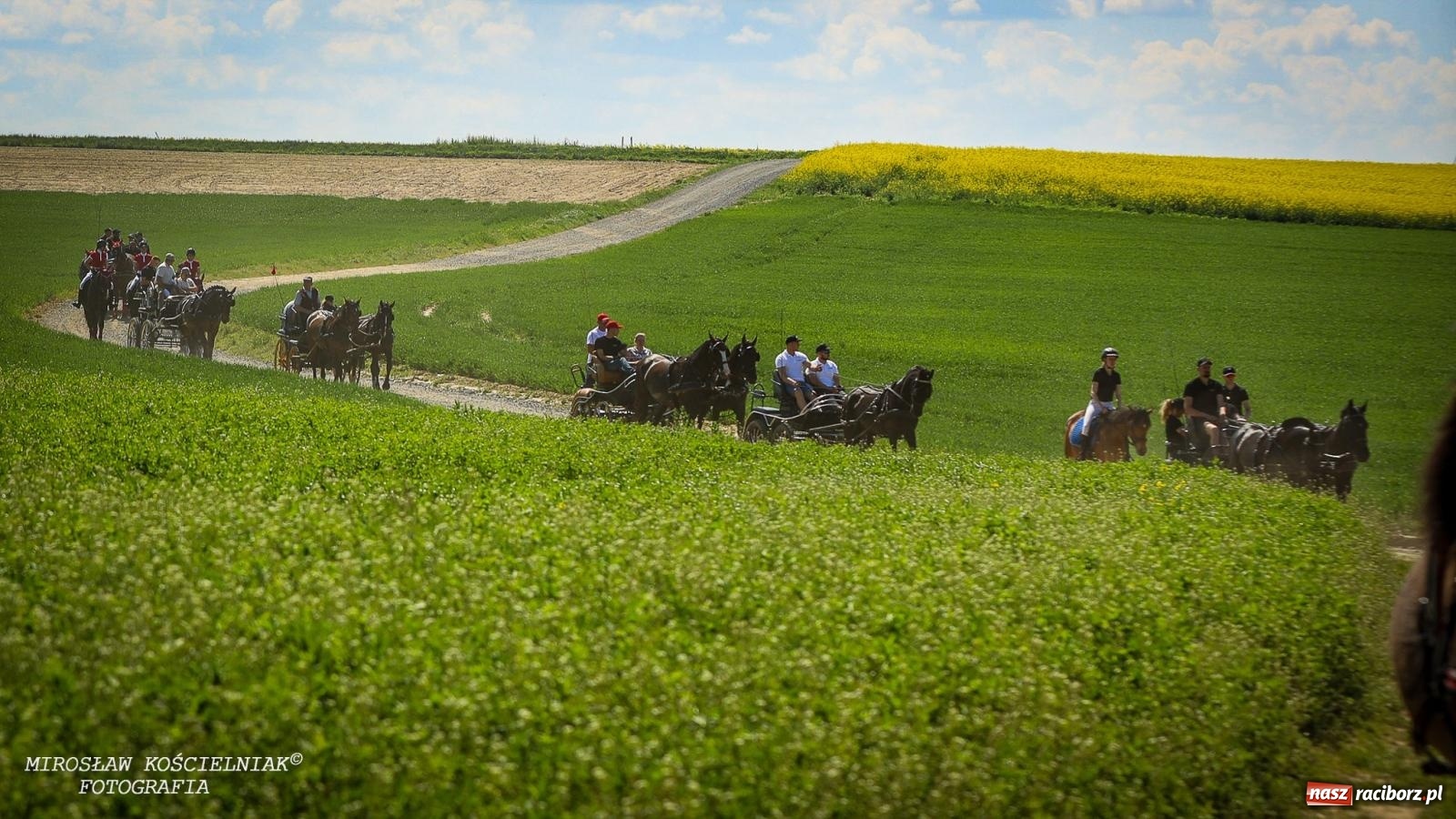 Zdjęcie w galerii na portalu naszraciborz.pl: Konna majówka wróciła do Kornic po sześciu latach. Były emocje i rywalizacja [FOTO i WIDEO] wiadomości z regionu
