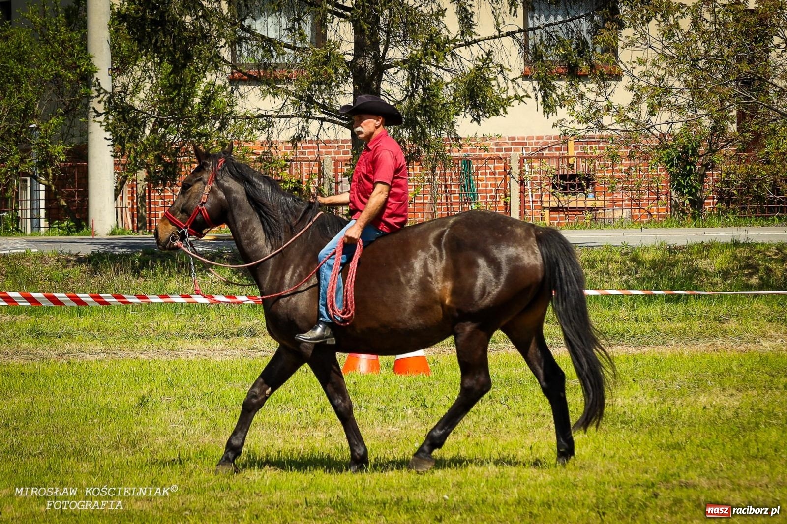 Zdjęcie w galerii na portalu naszraciborz.pl: Konna majówka wróciła do Kornic po sześciu latach. Były emocje i rywalizacja [FOTO i WIDEO] wiadomości z regionu