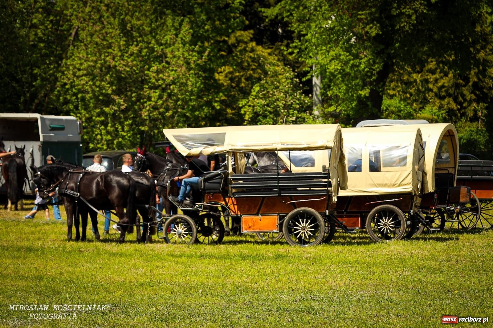 Zdjęcie w galerii na portalu naszraciborz.pl: Konna majówka wróciła do Kornic po sześciu latach. Były emocje i rywalizacja [FOTO i WIDEO] wiadomości z regionu