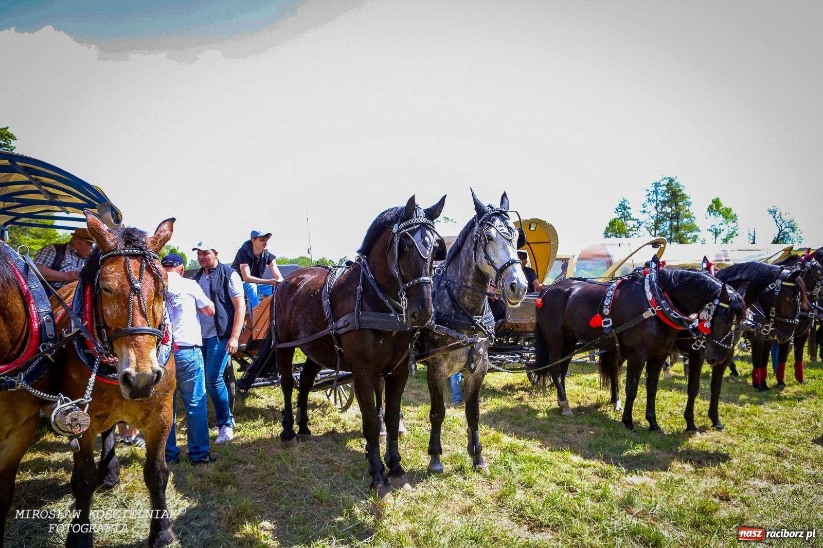 Zdjęcie w galerii na portalu naszraciborz.pl: Konna majówka wróciła do Kornic po sześciu latach. Były emocje i rywalizacja [FOTO i WIDEO] wiadomości z regionu