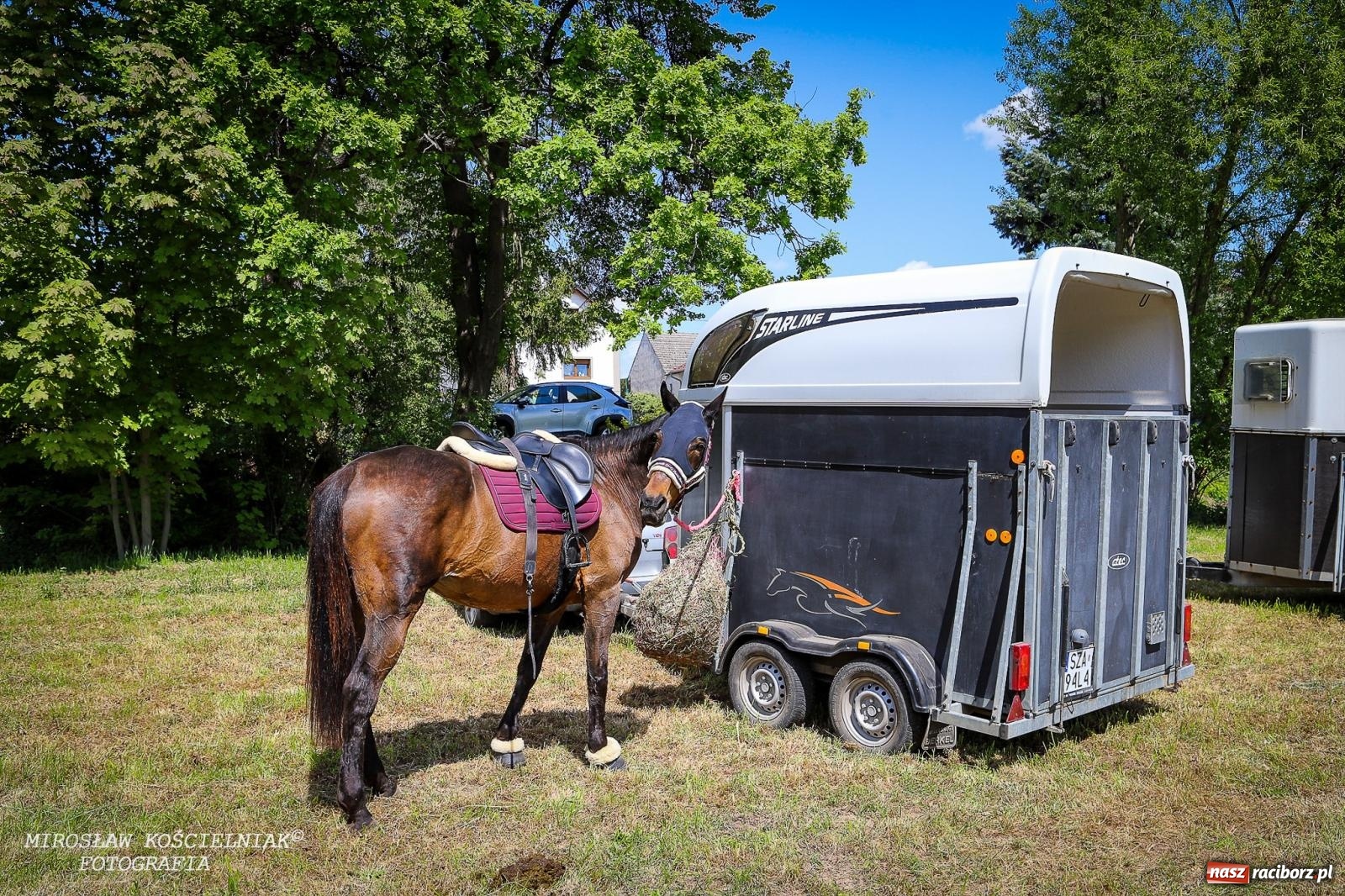 Zdjęcie w galerii na portalu naszraciborz.pl: Konna majówka wróciła do Kornic po sześciu latach. Były emocje i rywalizacja [FOTO i WIDEO] wiadomości z regionu
