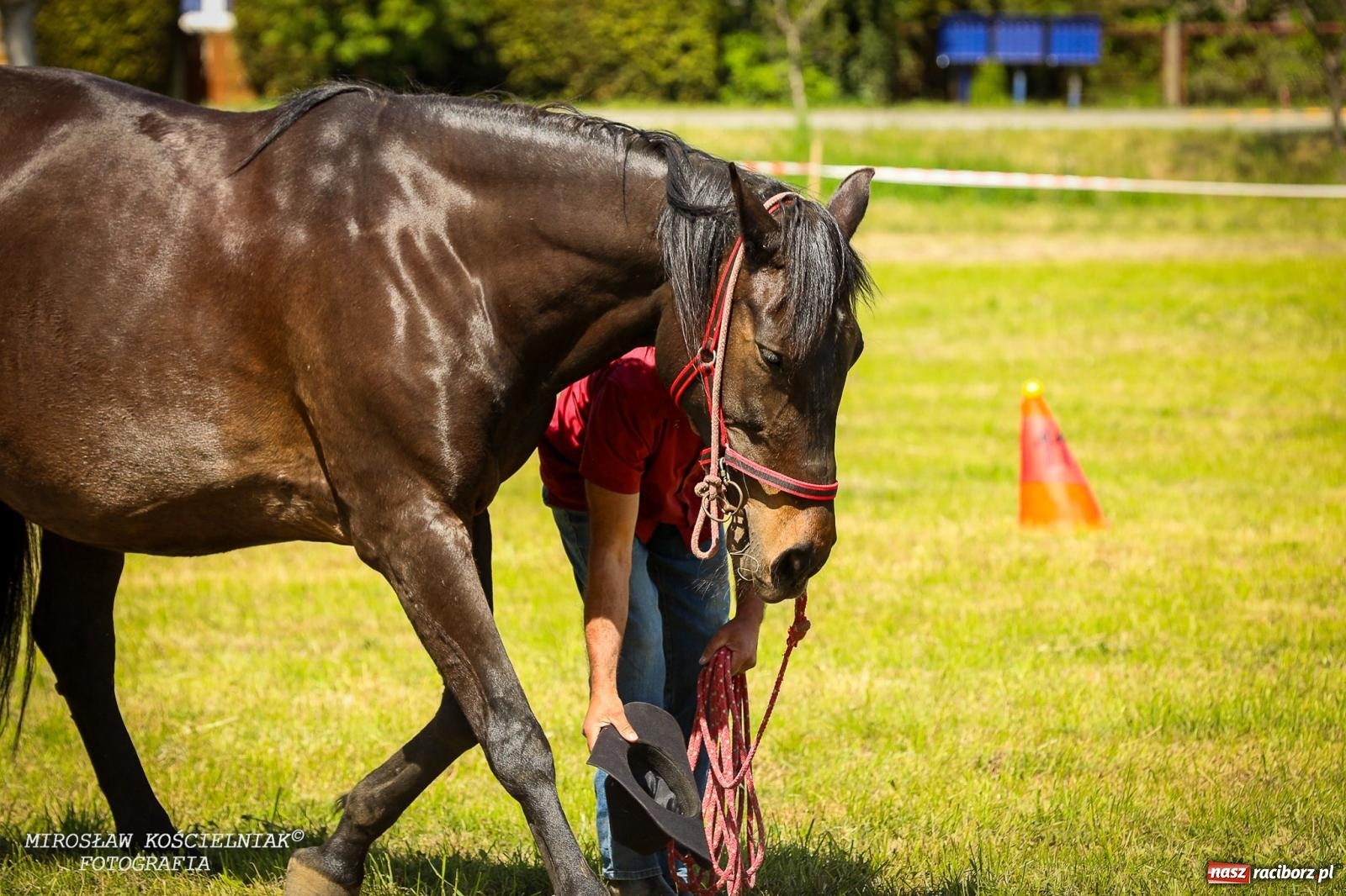Zdjęcie w galerii na portalu naszraciborz.pl: Konna majówka wróciła do Kornic po sześciu latach. Były emocje i rywalizacja [FOTO i WIDEO] wiadomości z regionu