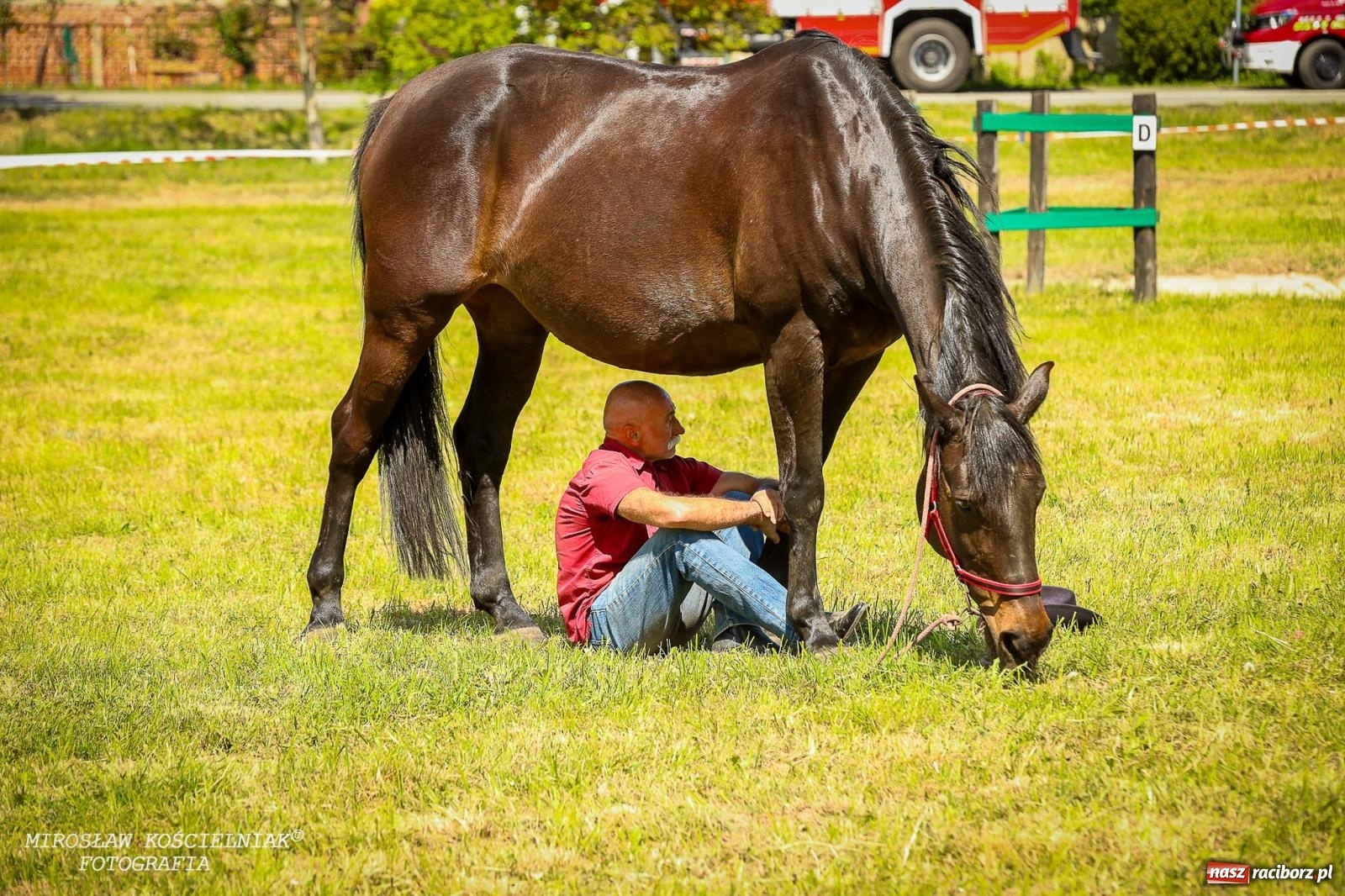 Zdjęcie w galerii na portalu naszraciborz.pl: Konna majówka wróciła do Kornic po sześciu latach. Były emocje i rywalizacja [FOTO i WIDEO] wiadomości z regionu