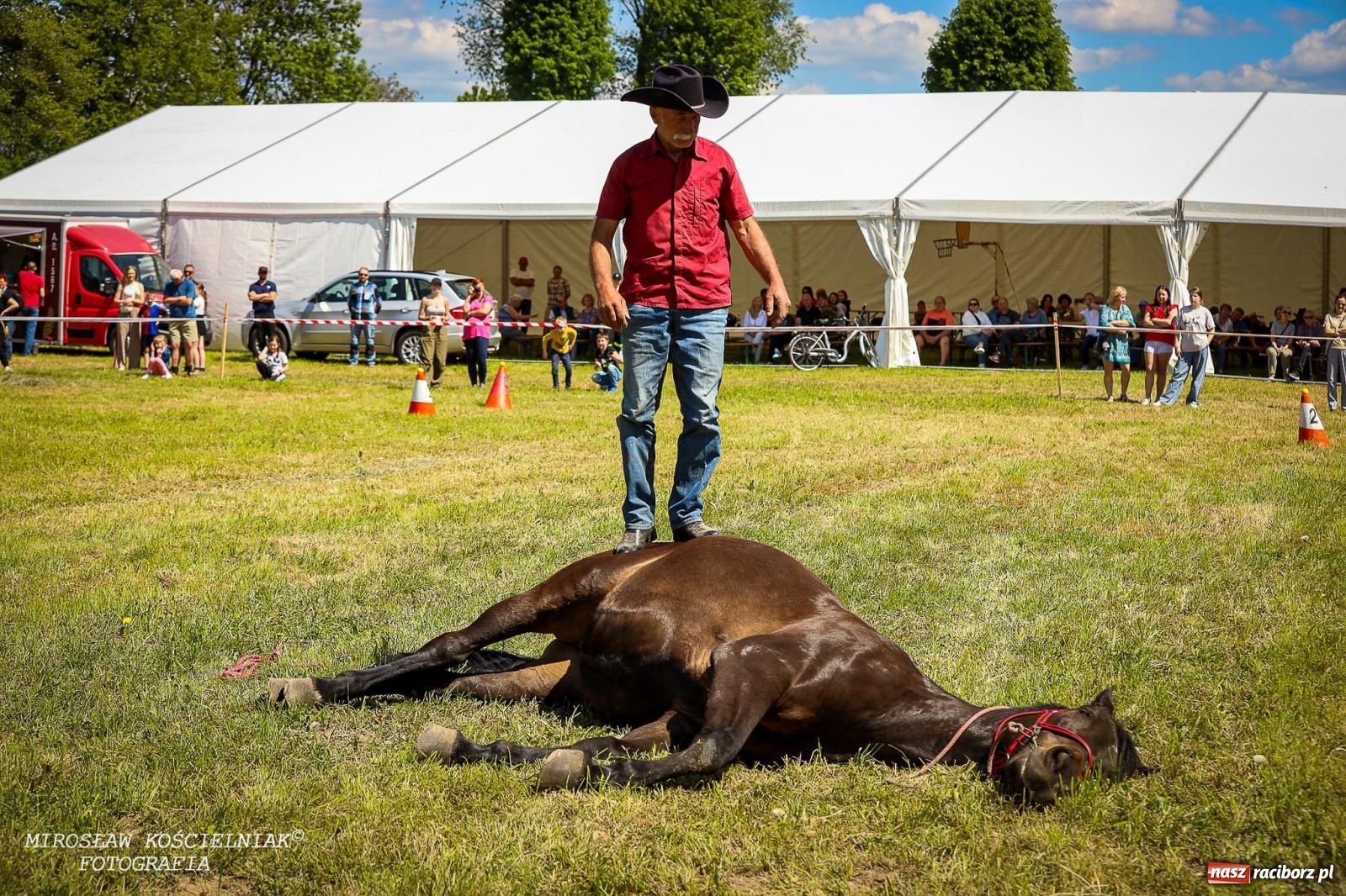 Zdjęcie w galerii na portalu naszraciborz.pl: Konna majówka wróciła do Kornic po sześciu latach. Były emocje i rywalizacja [FOTO i WIDEO] wiadomości z regionu