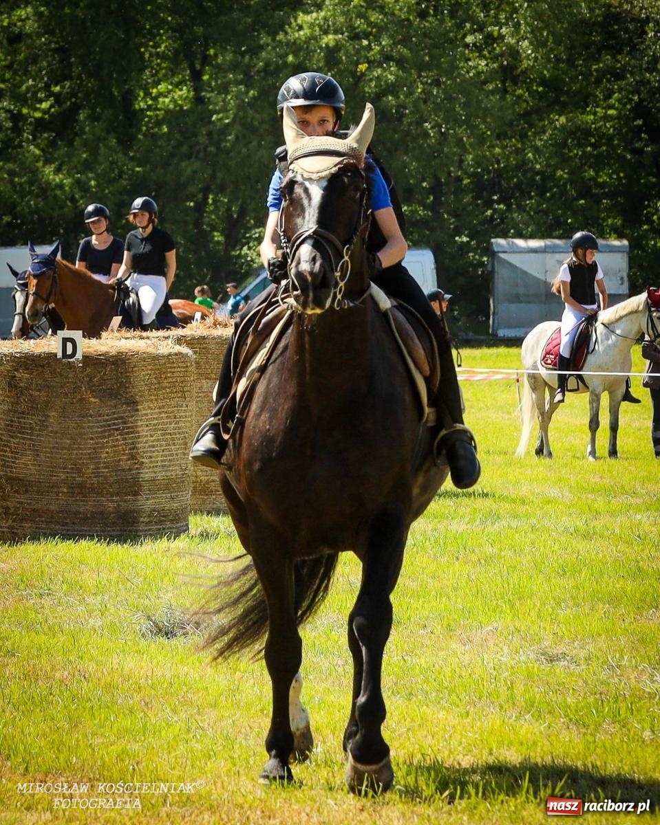 Zdjęcie w galerii na portalu naszraciborz.pl: Konna majówka wróciła do Kornic po sześciu latach. Były emocje i rywalizacja [FOTO i WIDEO] wiadomości z regionu