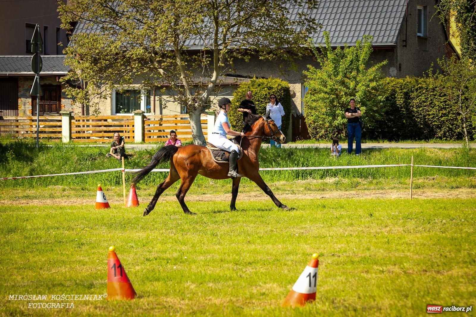 Zdjęcie w galerii na portalu naszraciborz.pl: Konna majówka wróciła do Kornic po sześciu latach. Były emocje i rywalizacja [FOTO i WIDEO] wiadomości z regionu