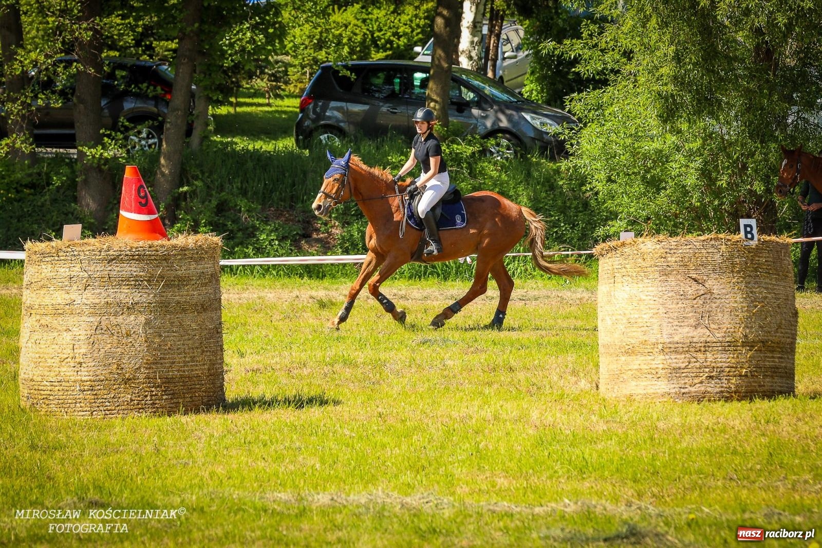Zdjęcie w galerii na portalu naszraciborz.pl: Konna majówka wróciła do Kornic po sześciu latach. Były emocje i rywalizacja [FOTO i WIDEO] wiadomości z regionu