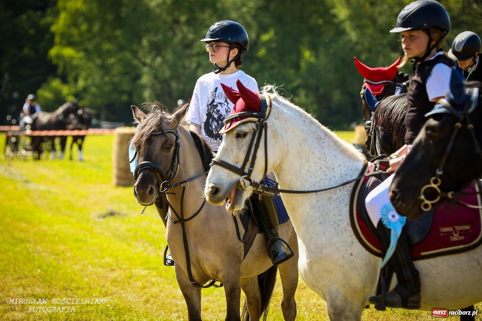 Zdjęcie w galerii na portalu naszraciborz.pl: Konna majówka wróciła do Kornic po sześciu latach. Były emocje i rywalizacja [FOTO i WIDEO] wiadomości z regionu