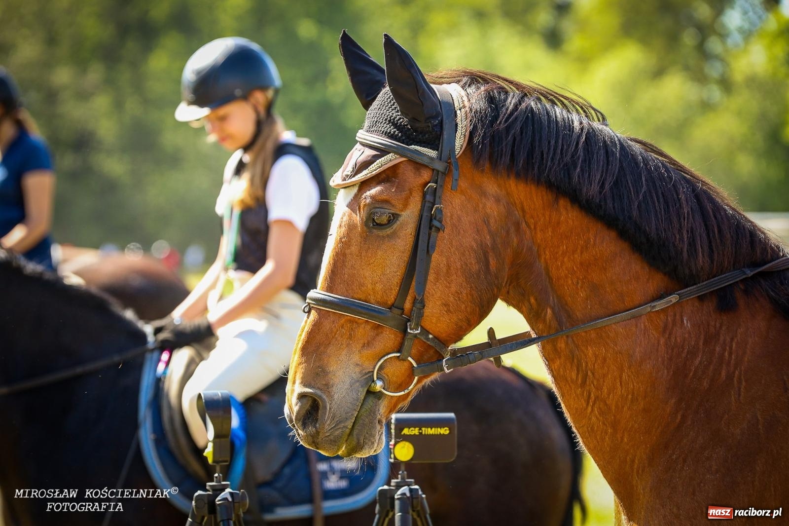 Zdjęcie w galerii na portalu naszraciborz.pl: Konna majówka wróciła do Kornic po sześciu latach. Były emocje i rywalizacja [FOTO i WIDEO] wiadomości z regionu