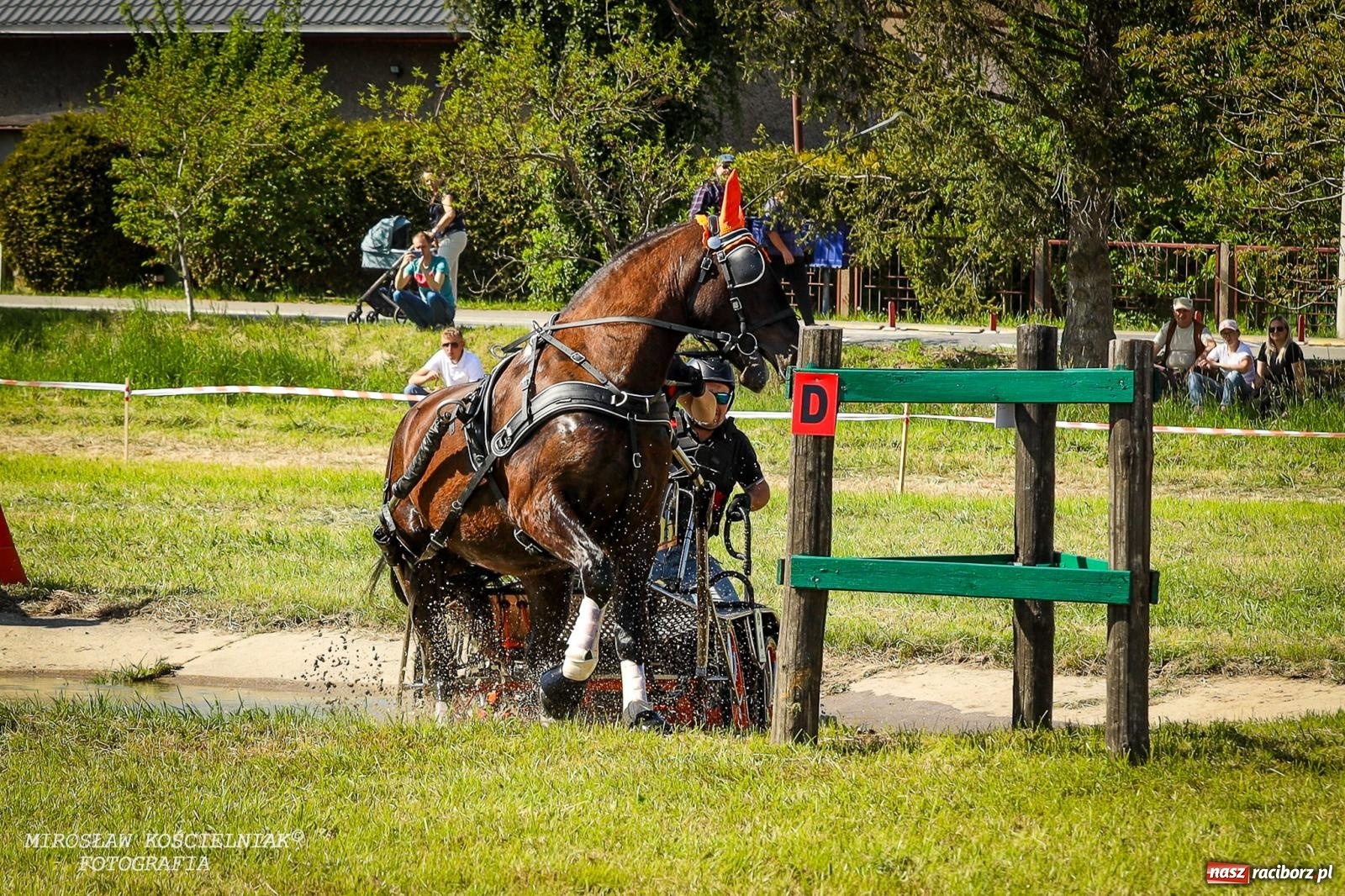 Zdjęcie w galerii na portalu naszraciborz.pl: Konna majówka wróciła do Kornic po sześciu latach. Były emocje i rywalizacja [FOTO i WIDEO] wiadomości z regionu