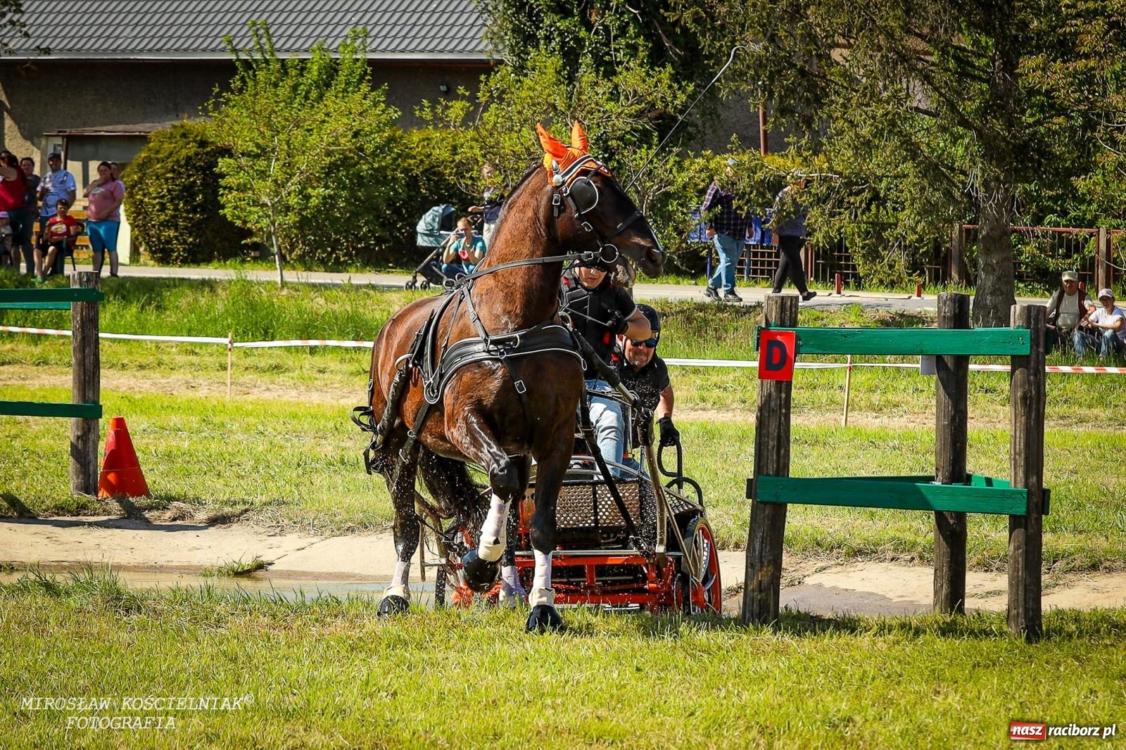 Zdjęcie w galerii na portalu naszraciborz.pl: Konna majówka wróciła do Kornic po sześciu latach. Były emocje i rywalizacja [FOTO i WIDEO] wiadomości z regionu