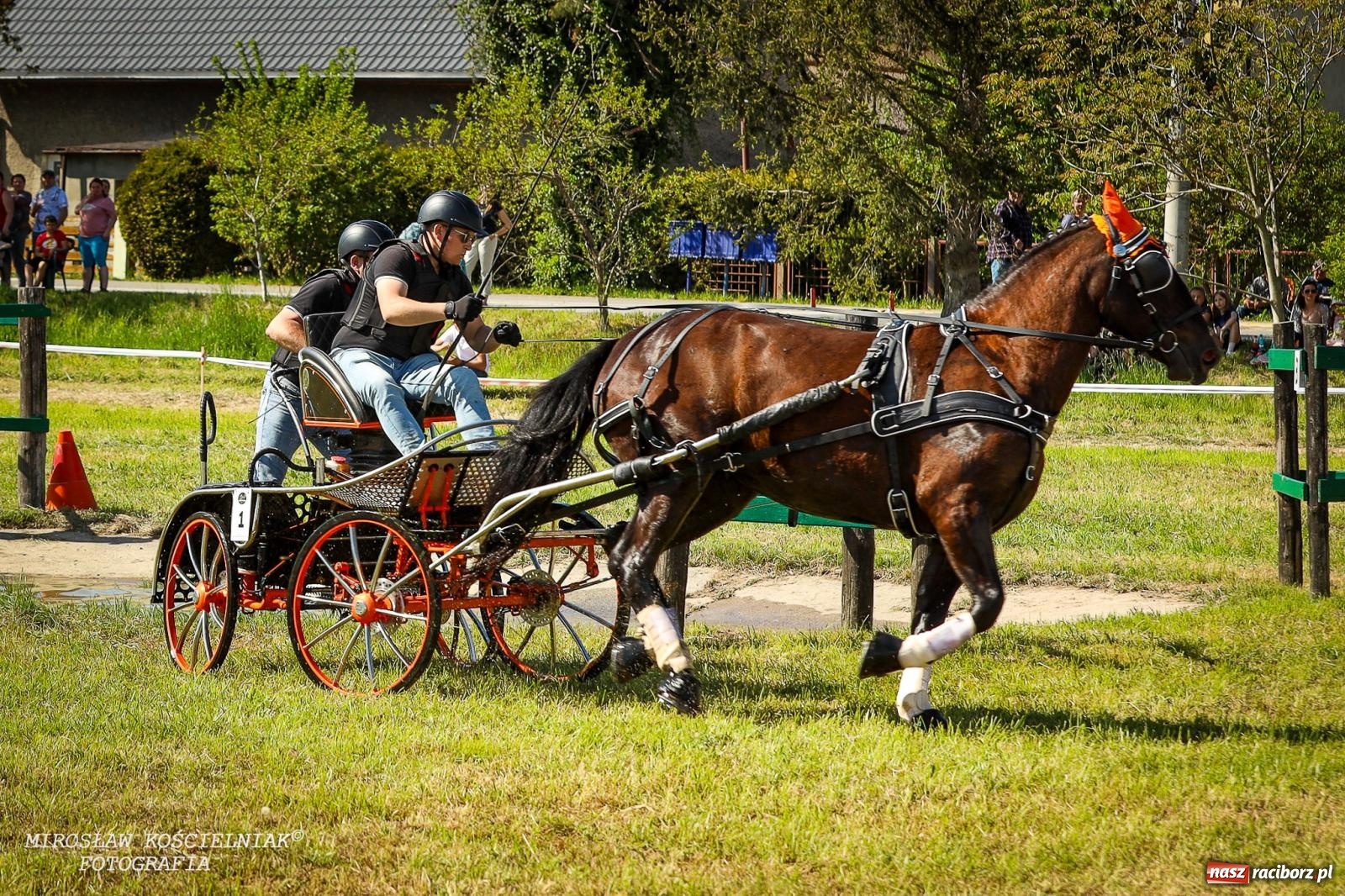 Zdjęcie w galerii na portalu naszraciborz.pl: Konna majówka wróciła do Kornic po sześciu latach. Były emocje i rywalizacja [FOTO i WIDEO] wiadomości z regionu
