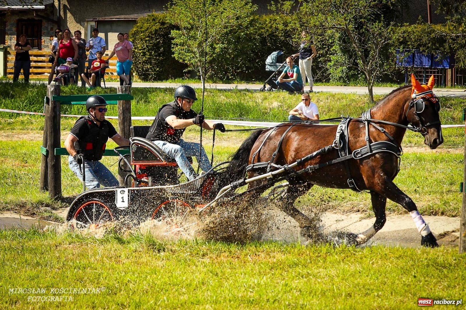 Zdjęcie w galerii na portalu naszraciborz.pl: Konna majówka wróciła do Kornic po sześciu latach. Były emocje i rywalizacja [FOTO i WIDEO] wiadomości z regionu