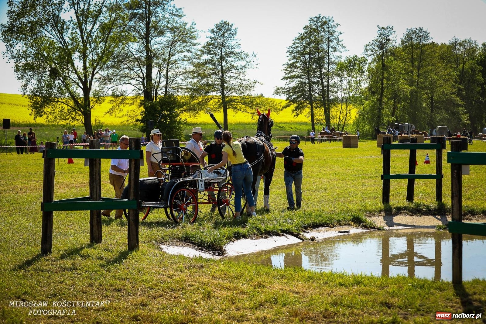 Zdjęcie w galerii na portalu naszraciborz.pl: Konna majówka wróciła do Kornic po sześciu latach. Były emocje i rywalizacja [FOTO i WIDEO] wiadomości z regionu