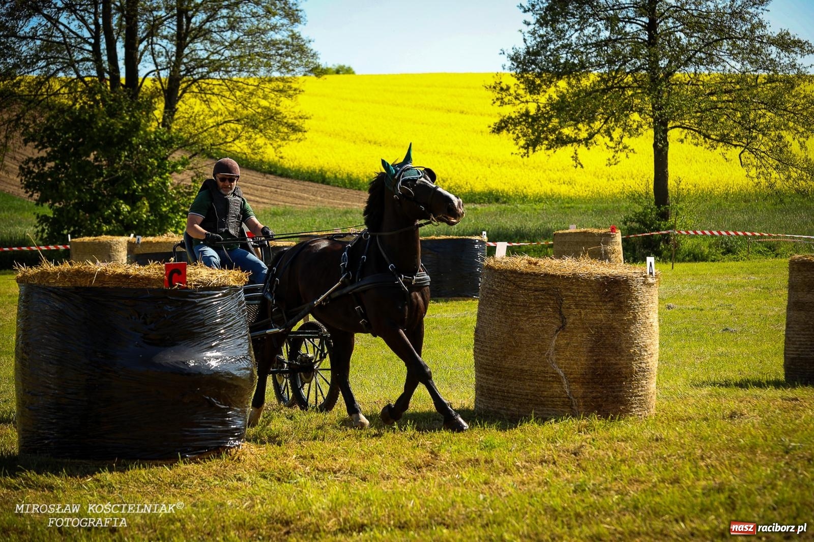 Zdjęcie w galerii na portalu naszraciborz.pl: Konna majówka wróciła do Kornic po sześciu latach. Były emocje i rywalizacja [FOTO i WIDEO] wiadomości z regionu