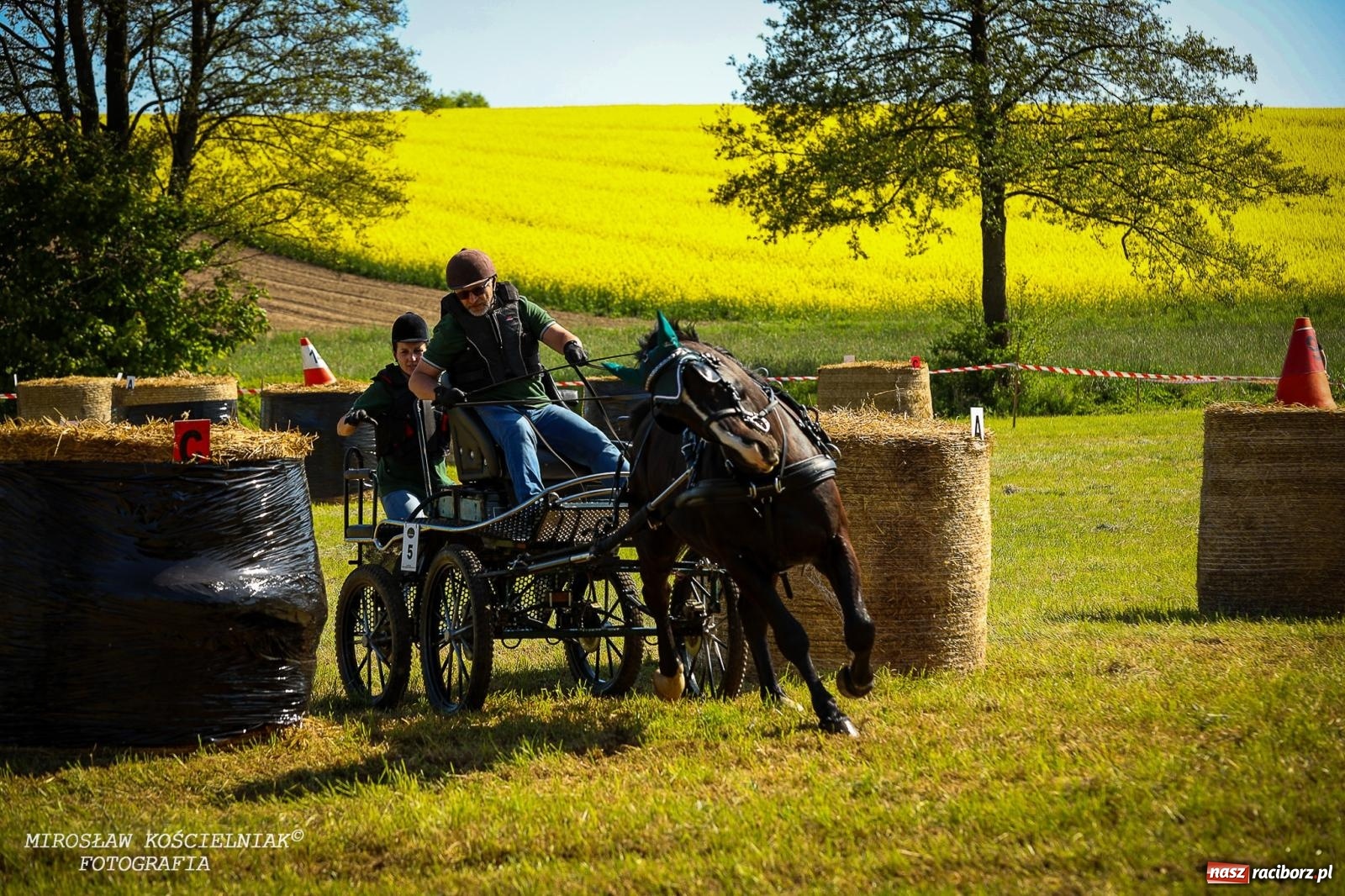 Zdjęcie w galerii na portalu naszraciborz.pl: Konna majówka wróciła do Kornic po sześciu latach. Były emocje i rywalizacja [FOTO i WIDEO] wiadomości z regionu
