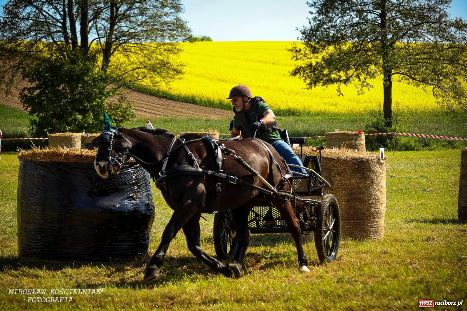 Zdjęcie w galerii na portalu naszraciborz.pl: Konna majówka wróciła do Kornic po sześciu latach. Były emocje i rywalizacja [FOTO i WIDEO] wiadomości z regionu