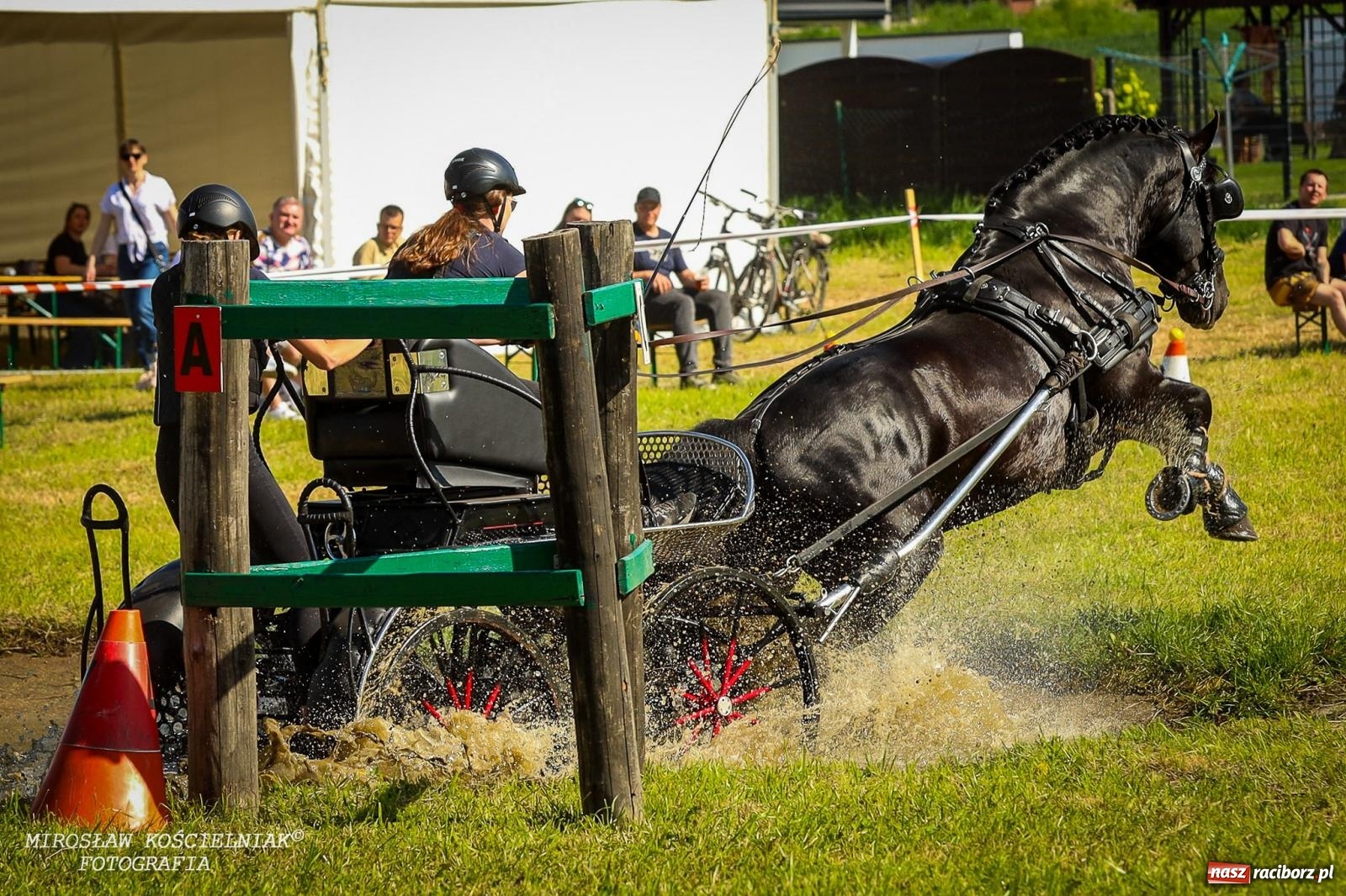 Zdjęcie w galerii na portalu naszraciborz.pl: Konna majówka wróciła do Kornic po sześciu latach. Były emocje i rywalizacja [FOTO i WIDEO] wiadomości z regionu