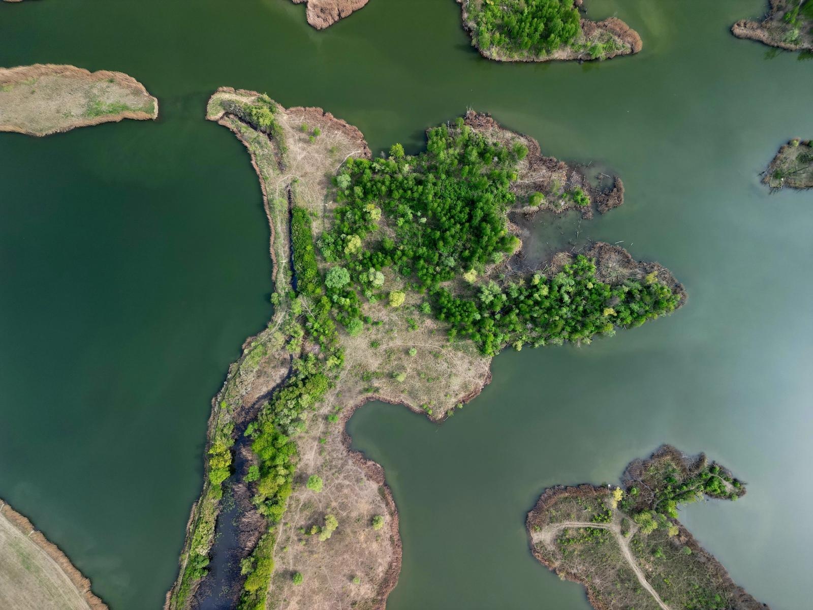 Zdjęcie w galerii na portalu naszraciborz.pl: Kajaki i SUPy na zbiorniku Racibórz – nowe miejsce wypożyczeń RTW wiadomości z regionu