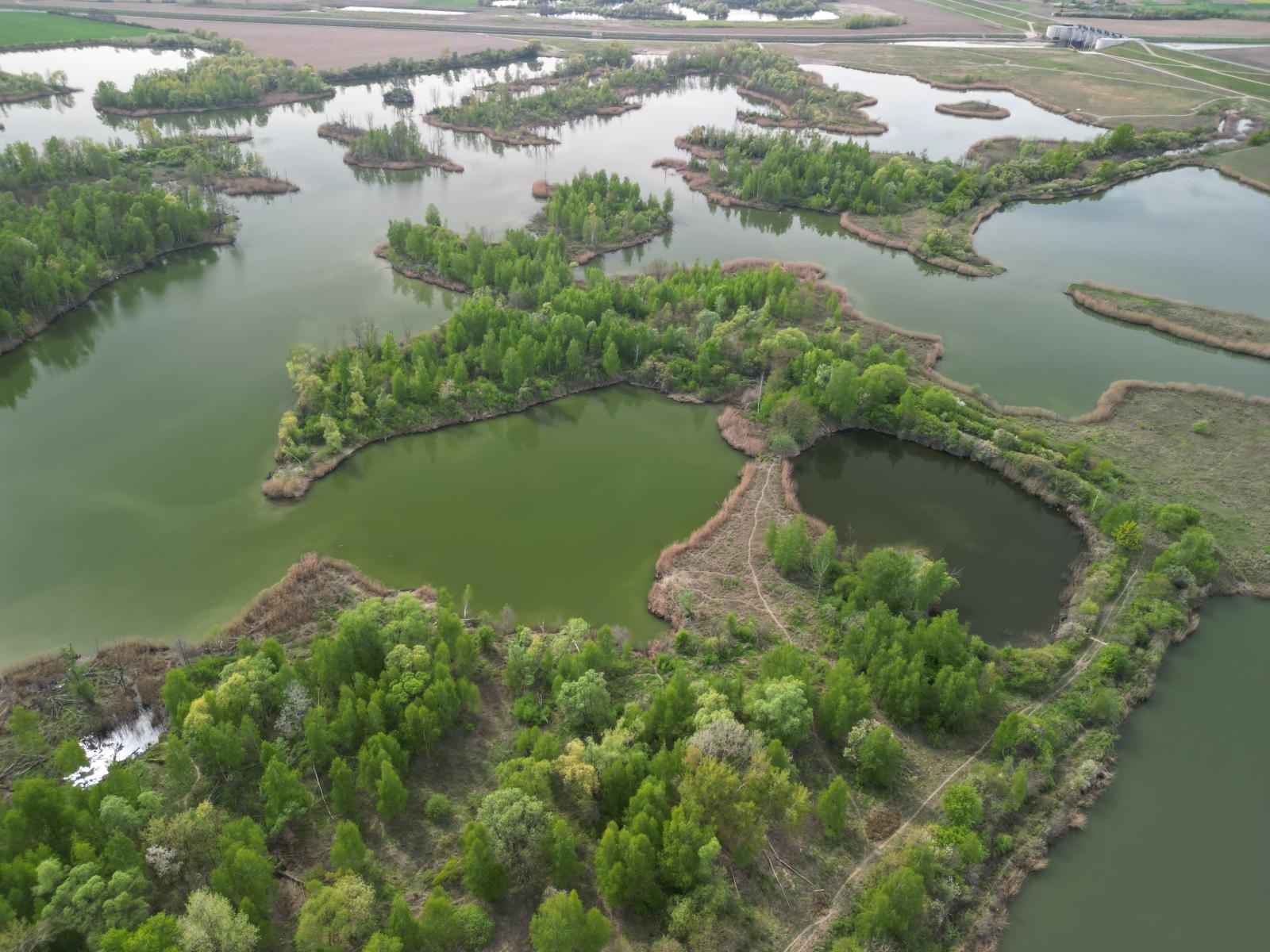 Zdjęcie w galerii na portalu naszraciborz.pl: Kajaki i SUPy na zbiorniku Racibórz – nowe miejsce wypożyczeń RTW wiadomości z regionu