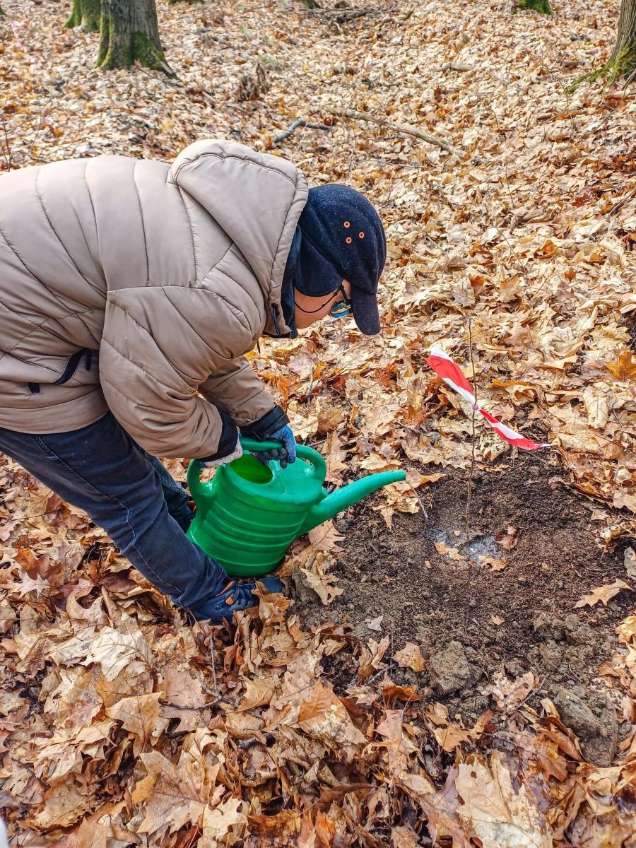 Zdjęcie w galerii na portalu naszraciborz.pl: Nowe nasadzenia w Arboretum Bramy Morawskiej. Akcja trwa wiadomości z regionu