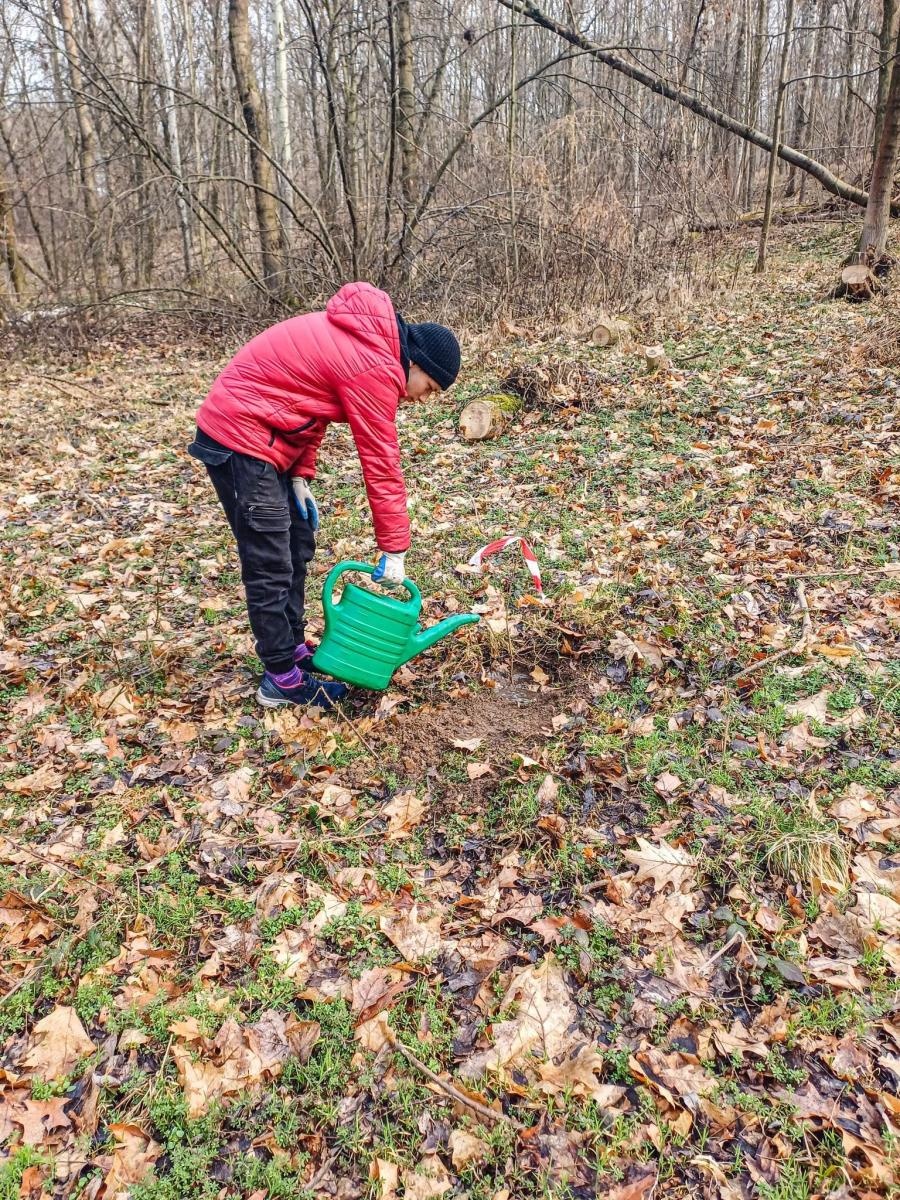 Zdjęcie w galerii na portalu naszraciborz.pl: Nowe nasadzenia w Arboretum Bramy Morawskiej. Akcja trwa wiadomości z regionu