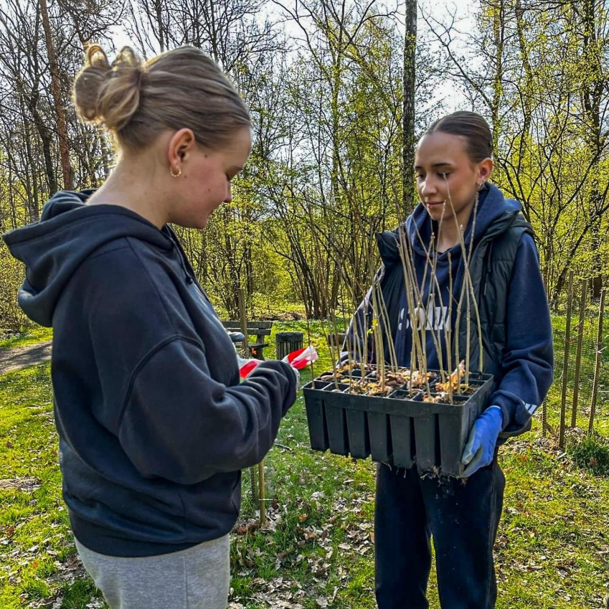 Zdjęcie w galerii na portalu naszraciborz.pl: Nowe nasadzenia w Arboretum Bramy Morawskiej. Akcja trwa wiadomości z regionu
