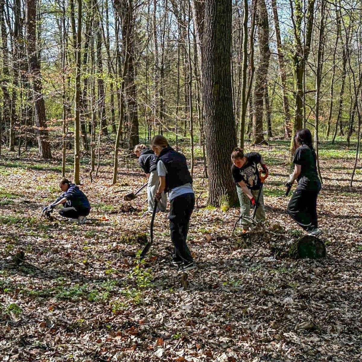 Zdjęcie w galerii na portalu naszraciborz.pl: Nowe nasadzenia w Arboretum Bramy Morawskiej. Akcja trwa wiadomości z regionu