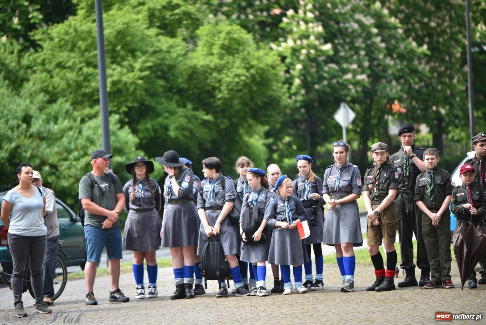 Zdjęcie w galerii na portalu naszraciborz.pl: Obchody Trzeciego Maja w Raciborzu w strugach deszczu [FOTO i WIDEO] wiadomości z regionu