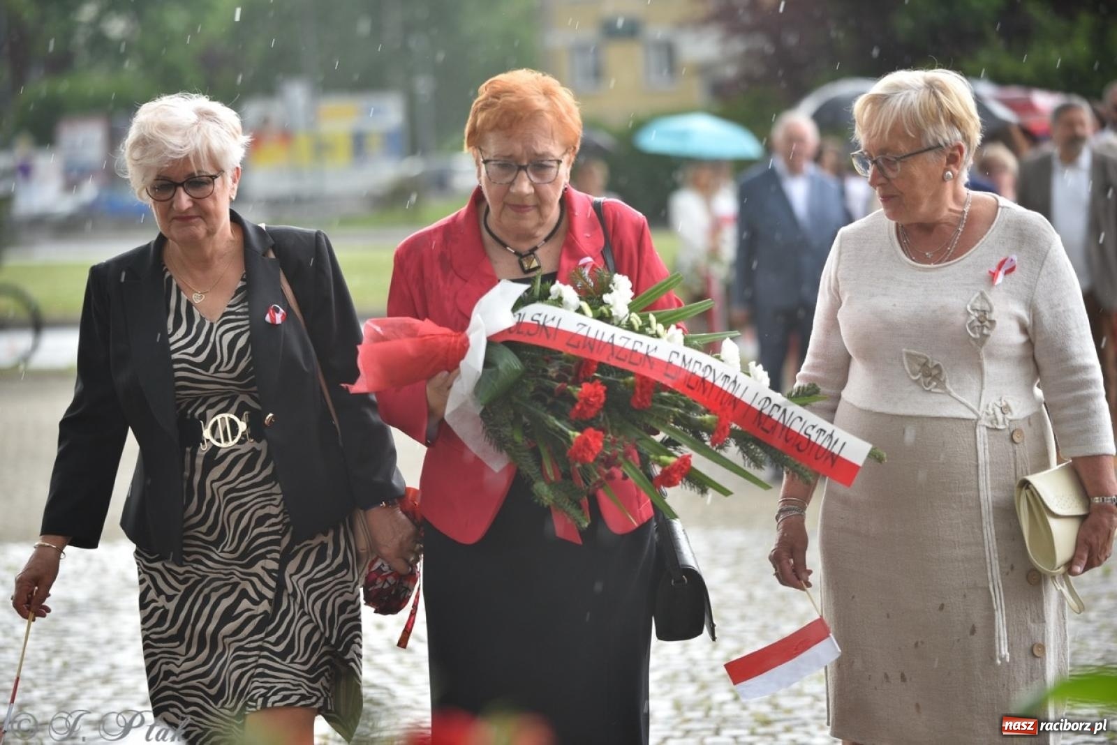 Zdjęcie w galerii na portalu naszraciborz.pl: Obchody Trzeciego Maja w Raciborzu w strugach deszczu [FOTO i WIDEO] wiadomości z regionu