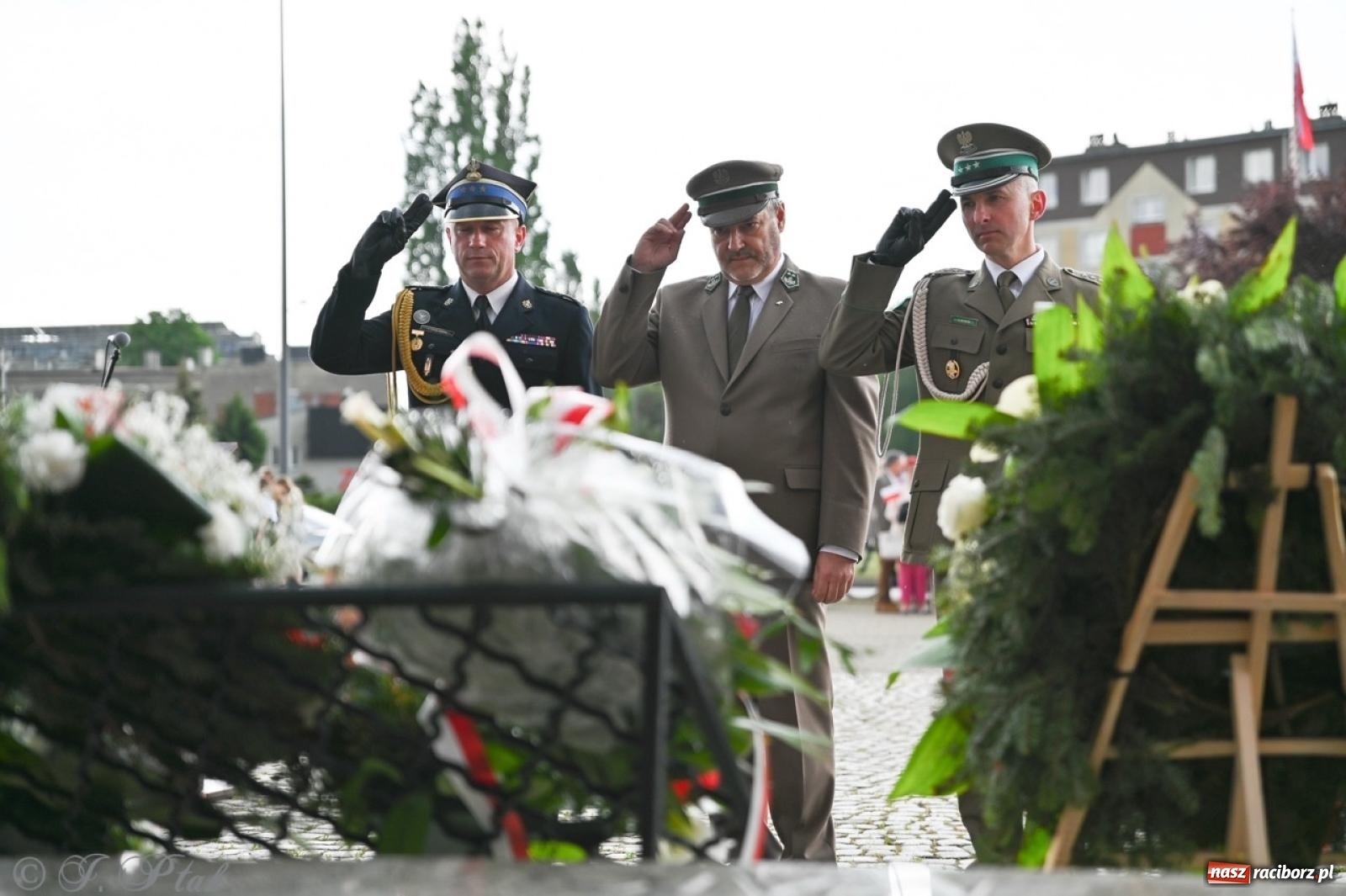Zdjęcie w galerii na portalu naszraciborz.pl: Obchody Trzeciego Maja w Raciborzu w strugach deszczu [FOTO i WIDEO] wiadomości z regionu