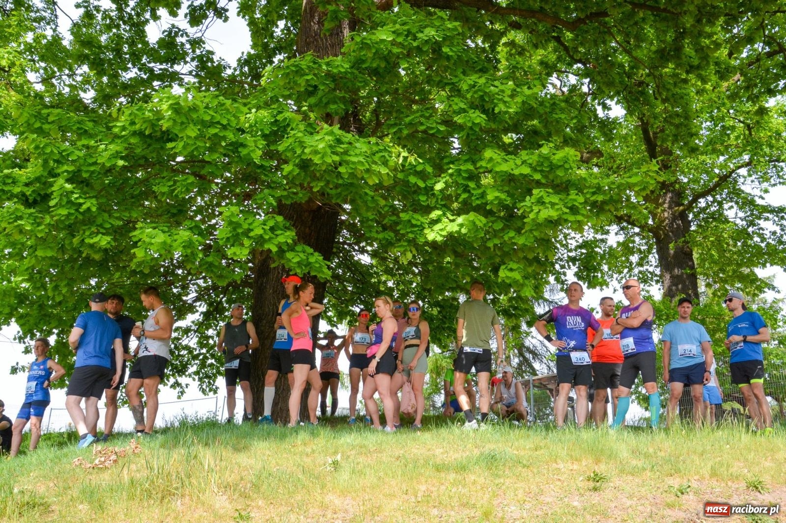 Zdjęcie w galerii na portalu naszraciborz.pl: Mateusz Mrówka najszybszy w XVII Biegu bez Granic wiadomości z regionu
