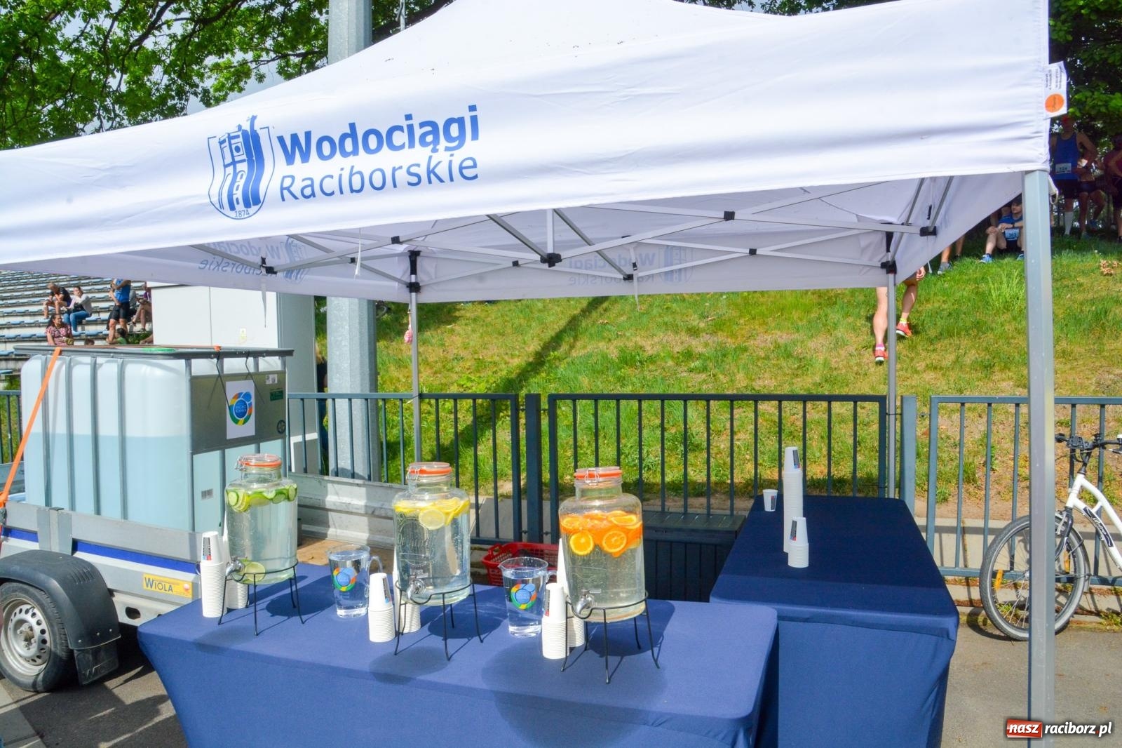 Zdjęcie w galerii na portalu naszraciborz.pl: Mateusz Mrówka najszybszy w XVII Biegu bez Granic wiadomości z regionu