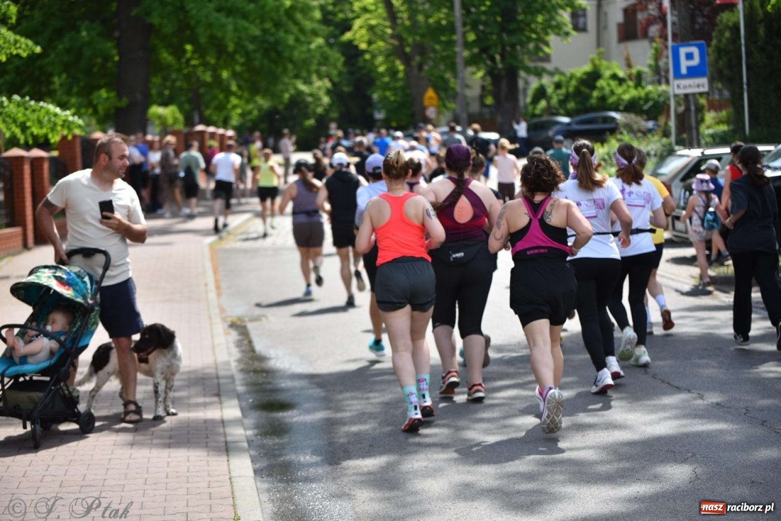 Zdjęcie w galerii na portalu naszraciborz.pl: Mateusz Mrówka najszybszy w XVII Biegu bez Granic wiadomości z regionu