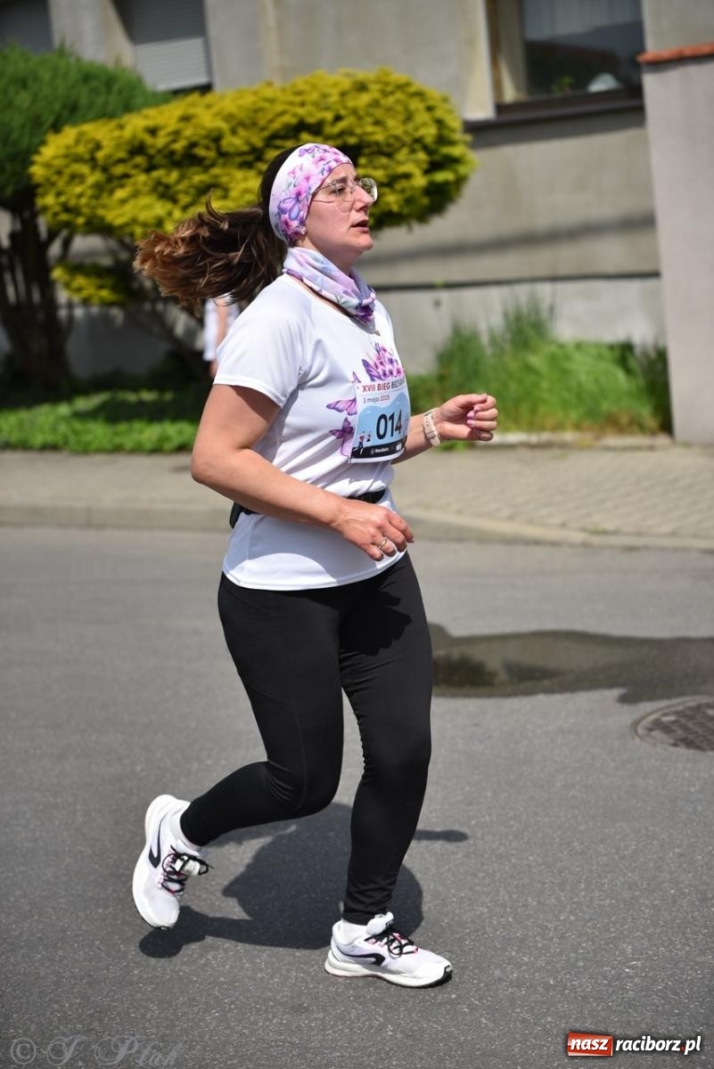 Zdjęcie w galerii na portalu naszraciborz.pl: Mateusz Mrówka najszybszy w XVII Biegu bez Granic wiadomości z regionu