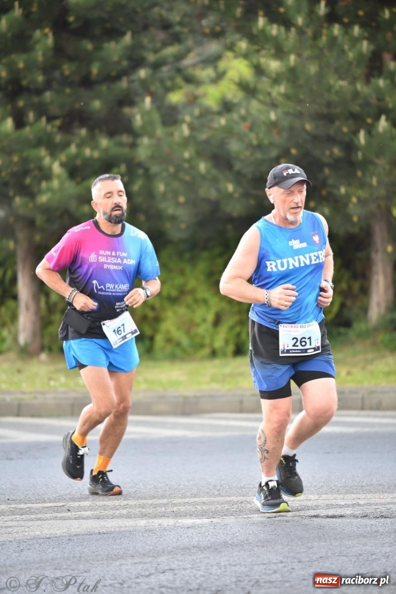 Zdjęcie w galerii na portalu naszraciborz.pl: Mateusz Mrówka najszybszy w XVII Biegu bez Granic wiadomości z regionu