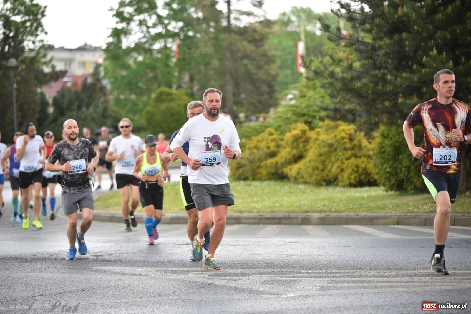 Zdjęcie w galerii na portalu naszraciborz.pl: Mateusz Mrówka najszybszy w XVII Biegu bez Granic wiadomości z regionu