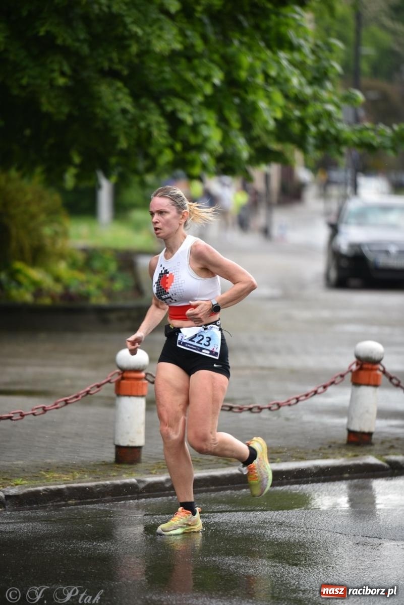 Zdjęcie w galerii na portalu naszraciborz.pl: Mateusz Mrówka najszybszy w XVII Biegu bez Granic wiadomości z regionu