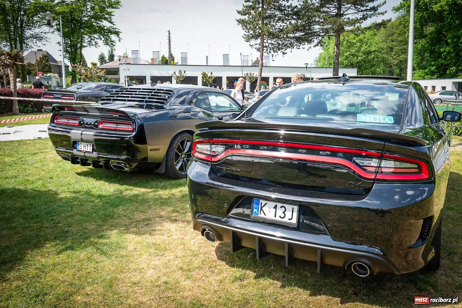 Zdjęcie w galerii na portalu naszraciborz.pl: Car Party w Aquabrax Szymocice - żądza prędkości i doskonałości [FOTO  i WIDEO] wiadomości z regionu
