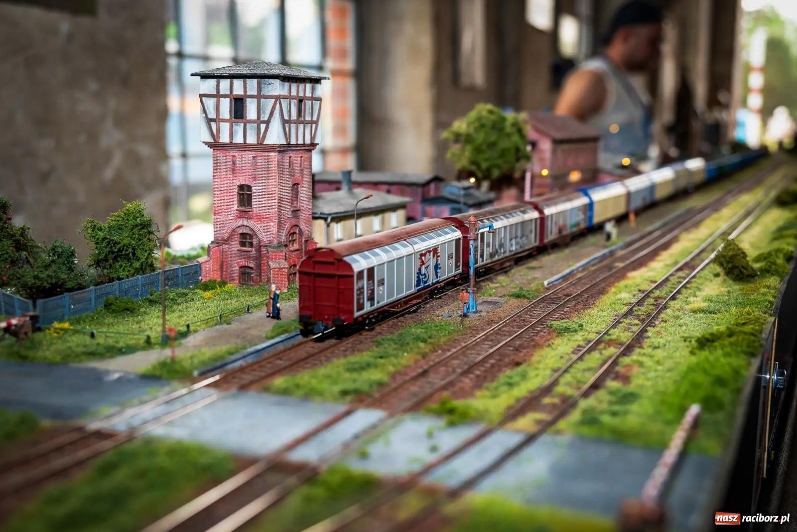 Zdjęcie w galerii na portalu naszraciborz.pl: Rudzka majówka z wąskotorówką i makietą kolejową [FOTO i WIDEO] wiadomości z regionu