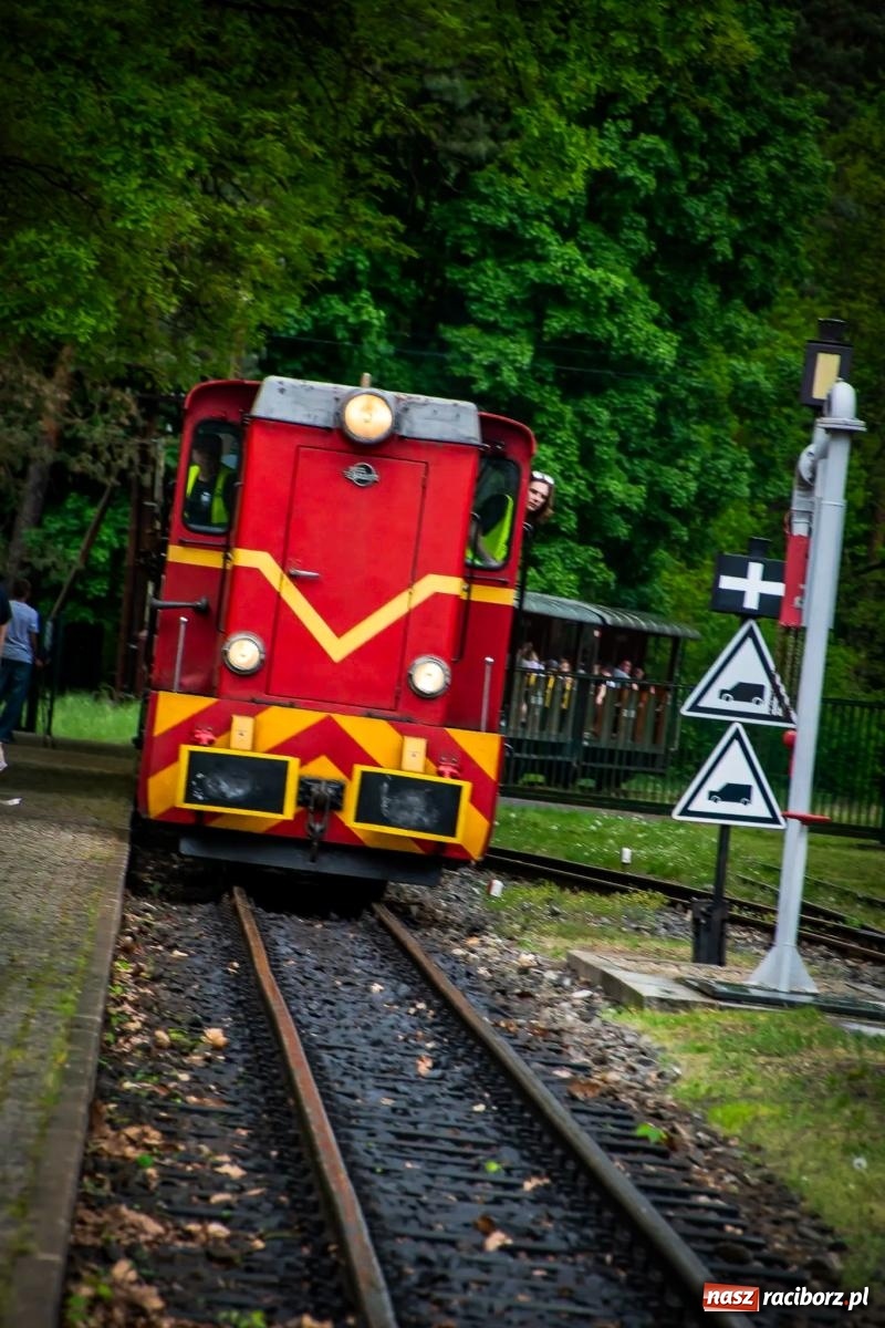 Zdjęcie w galerii na portalu naszraciborz.pl: Rudzka majówka z wąskotorówką i makietą kolejową [FOTO i WIDEO] wiadomości z regionu
