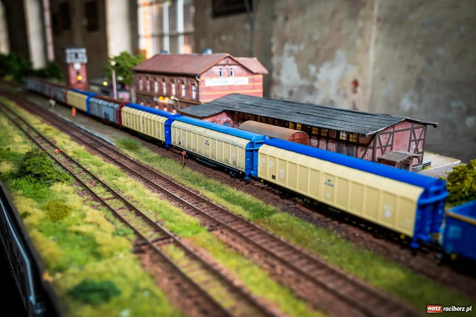 Zdjęcie w galerii na portalu naszraciborz.pl: Rudzka majówka z wąskotorówką i makietą kolejową [FOTO i WIDEO] wiadomości z regionu