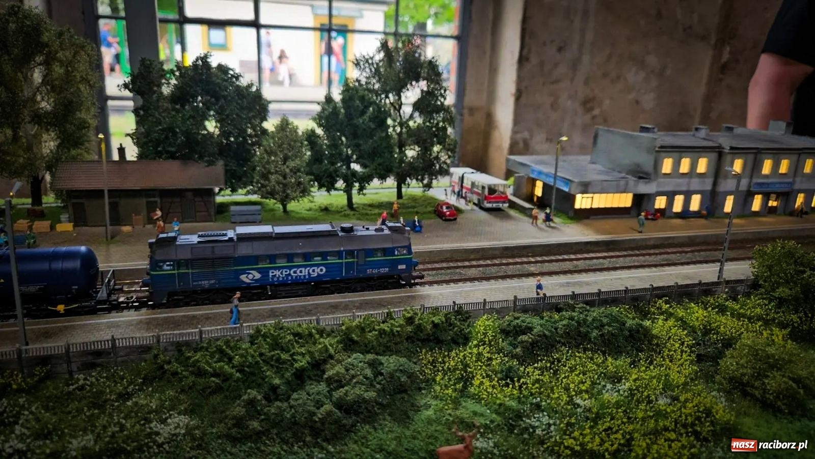 Zdjęcie w galerii na portalu naszraciborz.pl: Rudzka majówka z wąskotorówką i makietą kolejową [FOTO i WIDEO] wiadomości z regionu