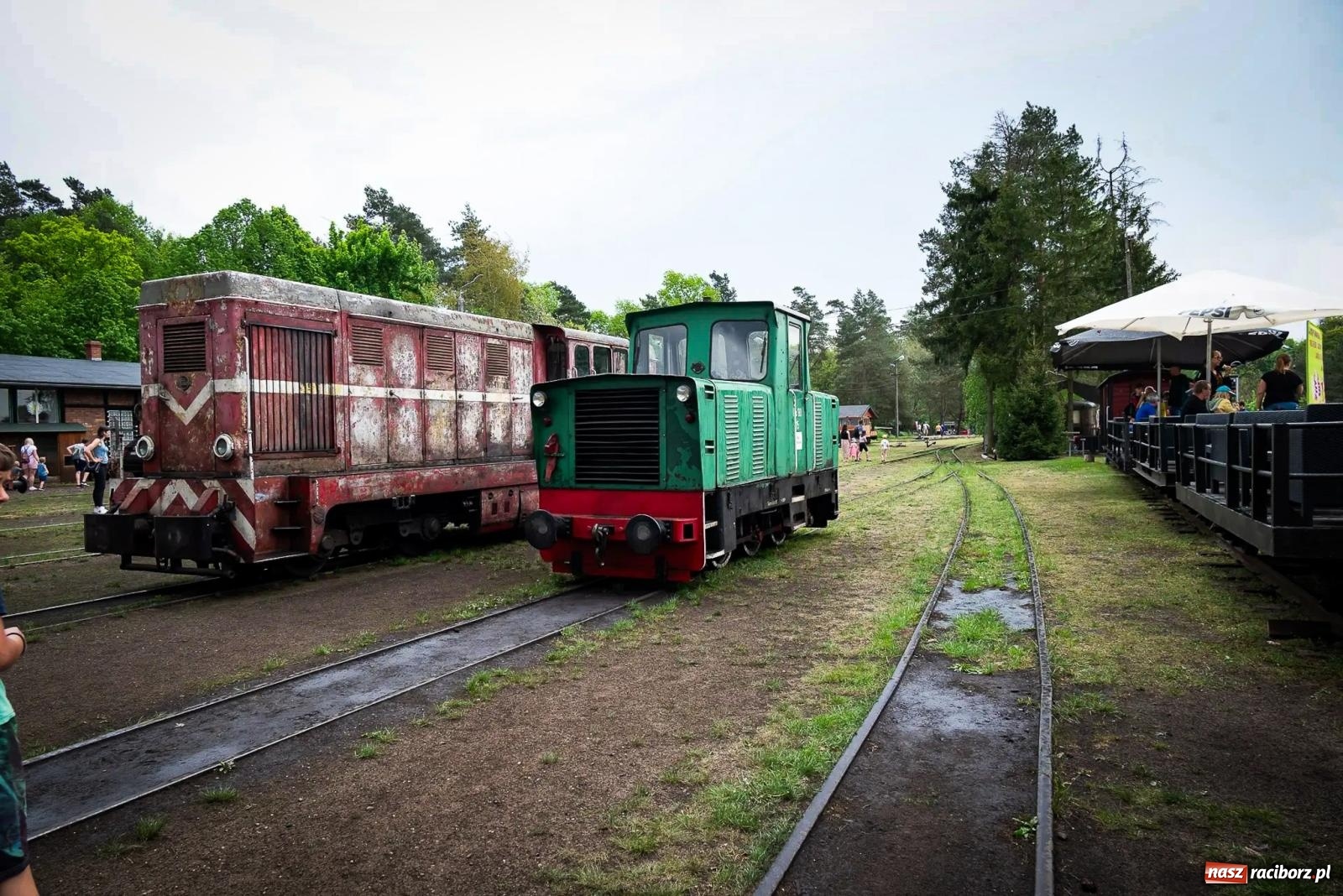 Zdjęcie w galerii na portalu naszraciborz.pl: Rudzka majówka z wąskotorówką i makietą kolejową [FOTO i WIDEO] wiadomości z regionu