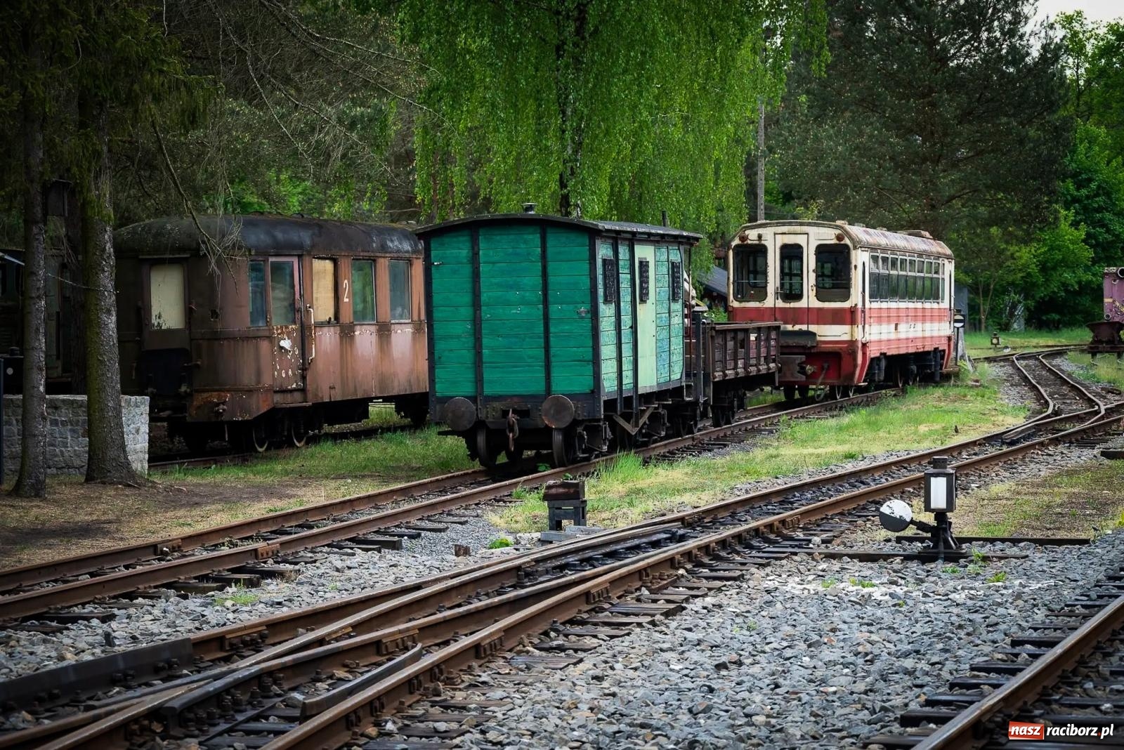 Zdjęcie w galerii na portalu naszraciborz.pl: Rudzka majówka z wąskotorówką i makietą kolejową [FOTO i WIDEO] wiadomości z regionu